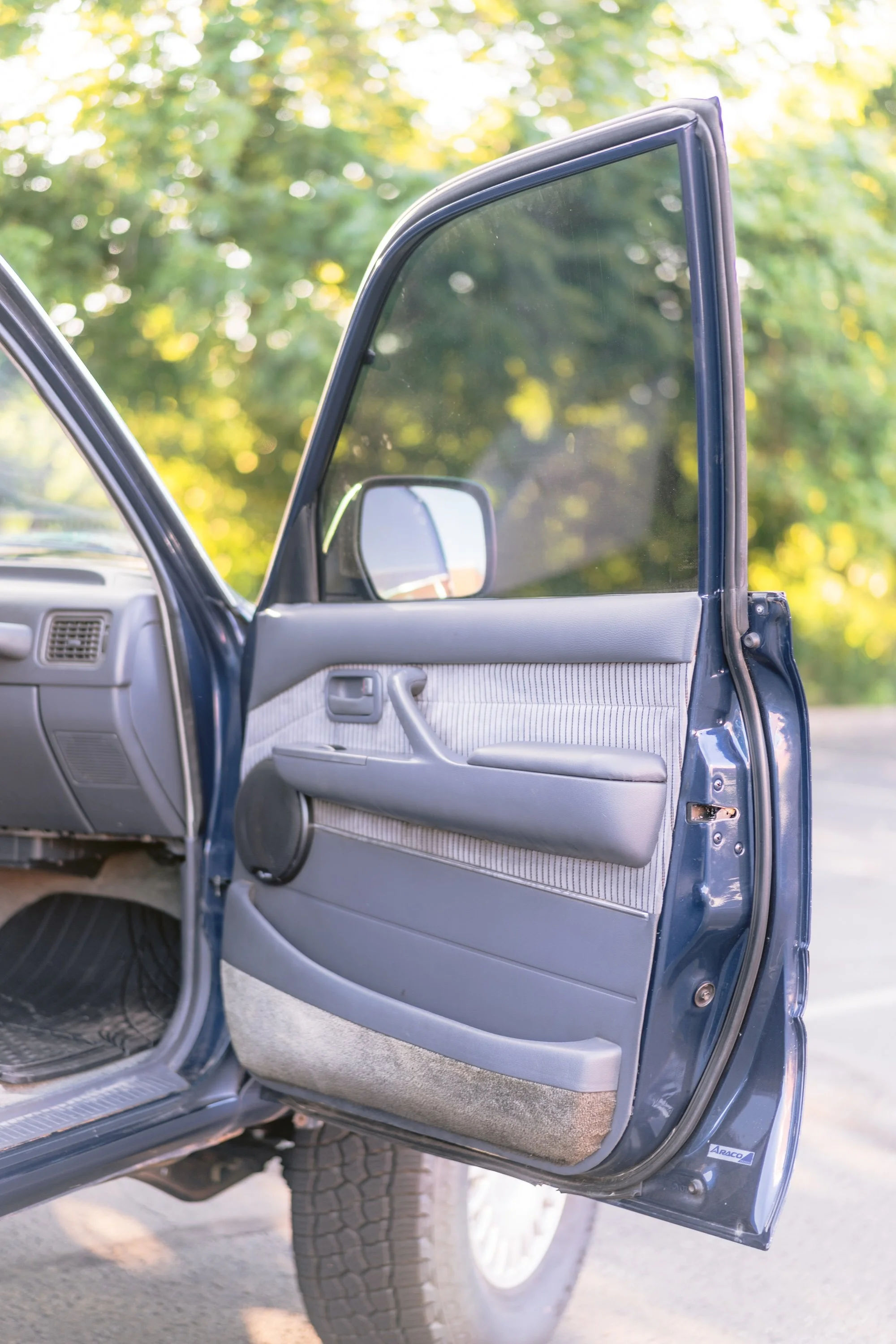 Open car door showing gray interior with a side mirror, plastic panel, vent, speaker, window, and tire with a tread pattern, set against a blurred background of green trees and sunlight.