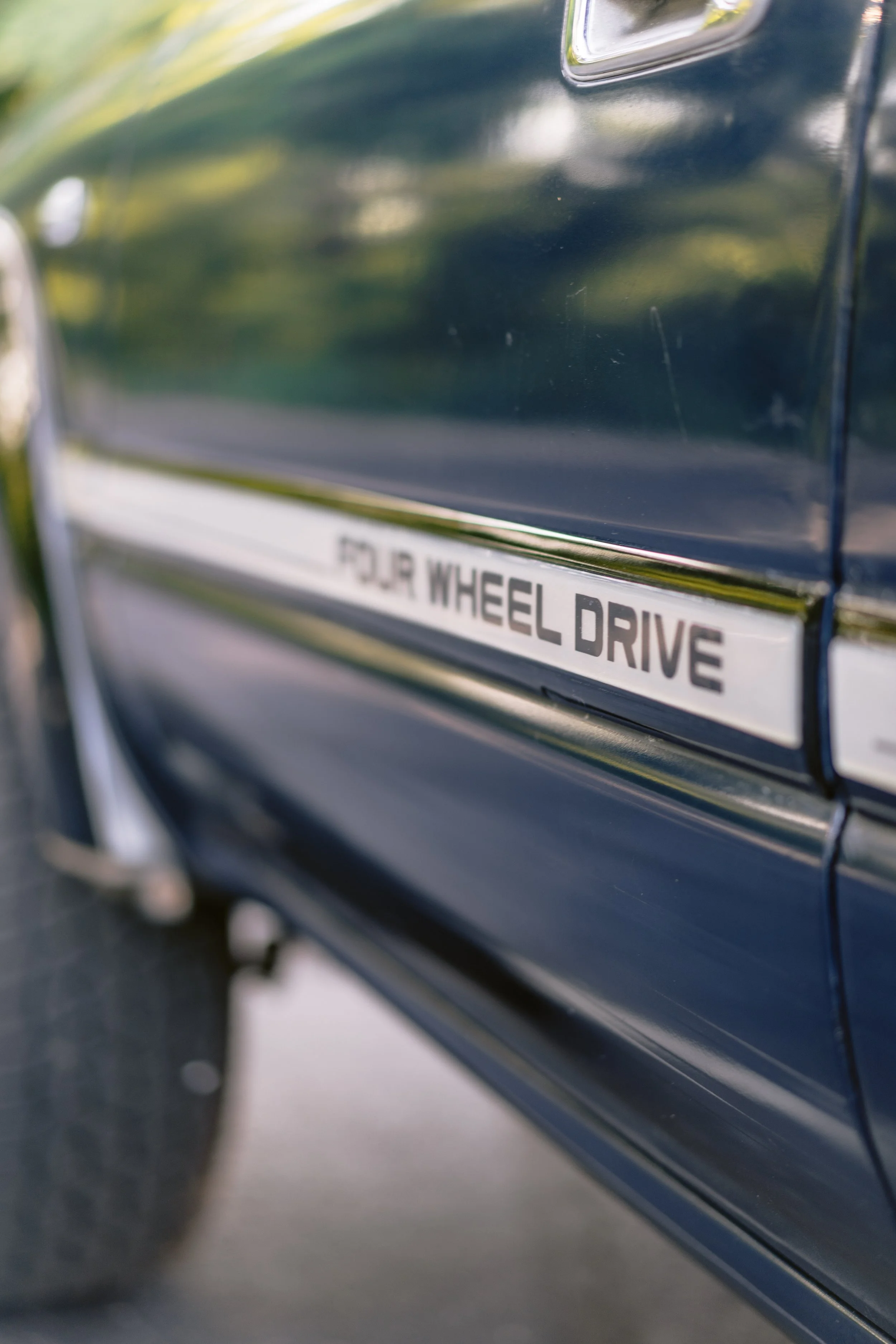 DSC03945.jpg