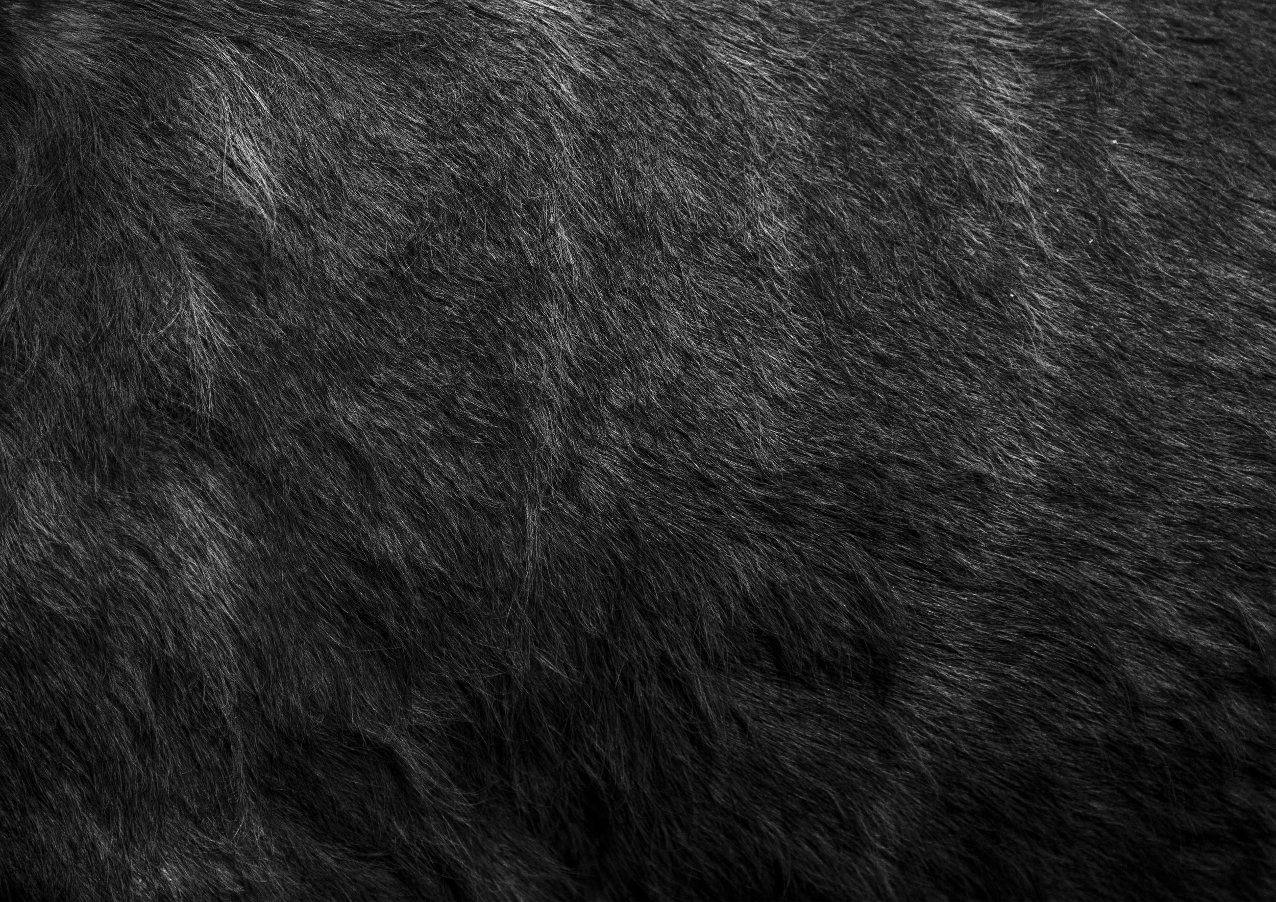 Boulter_Matte 5.jpg
