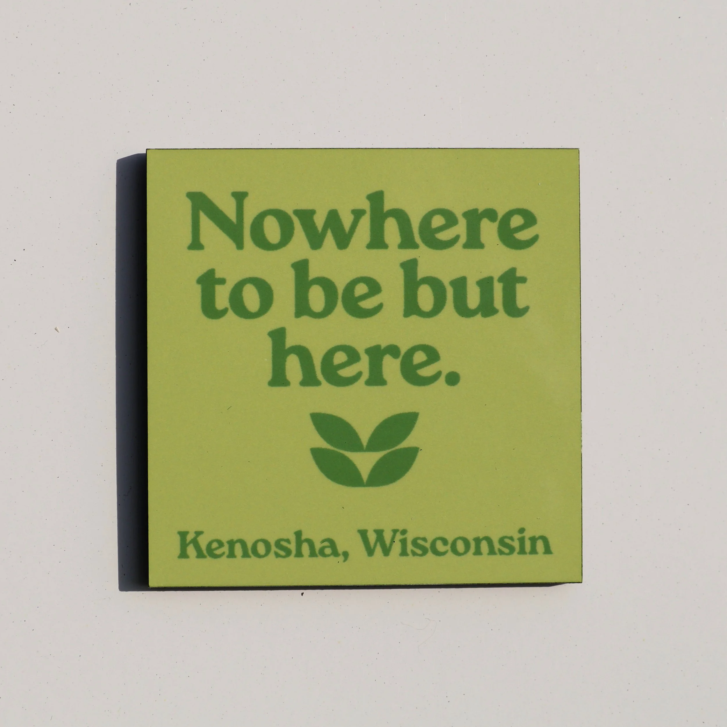 Lake Life Magnets