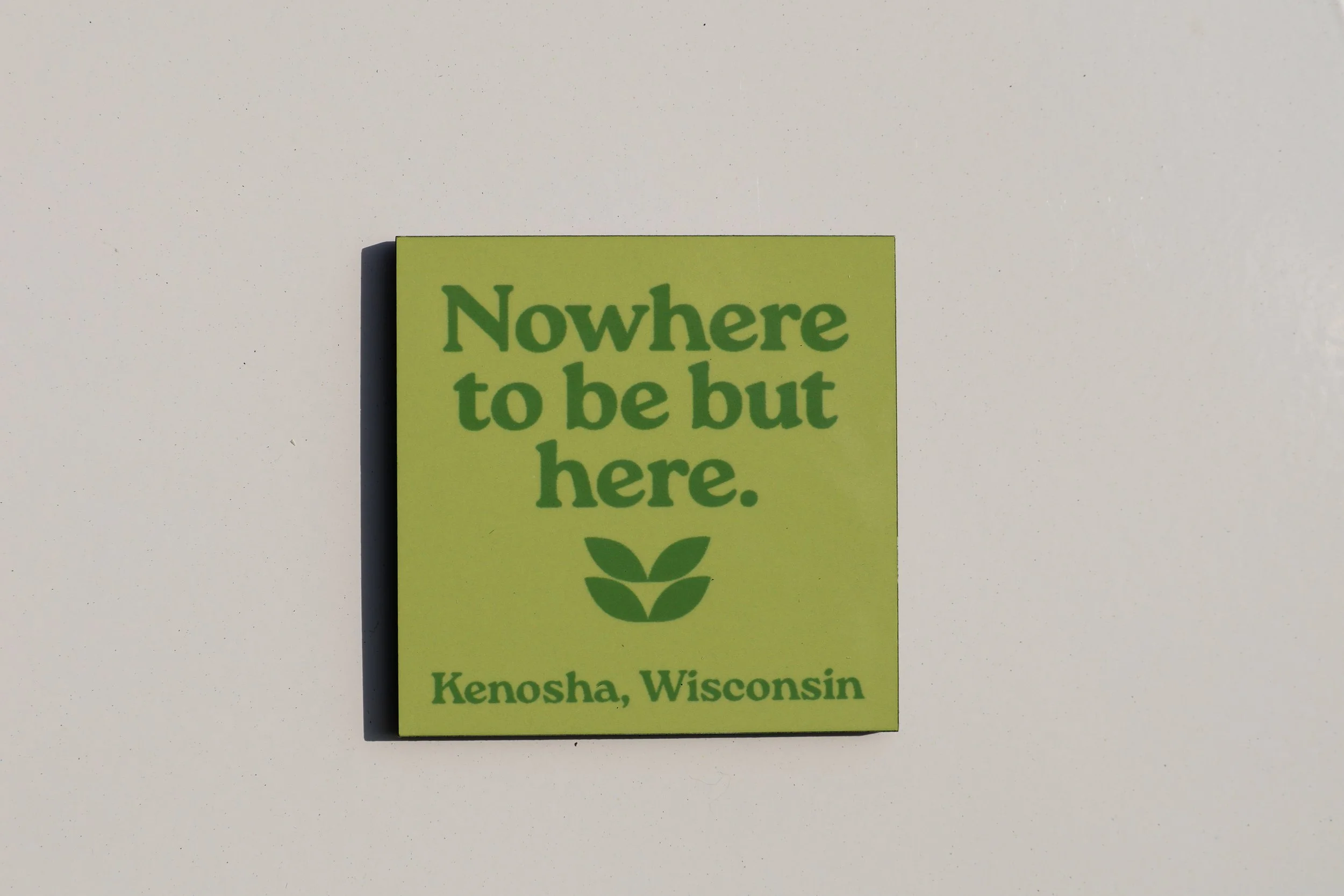 Lake Life Magnets