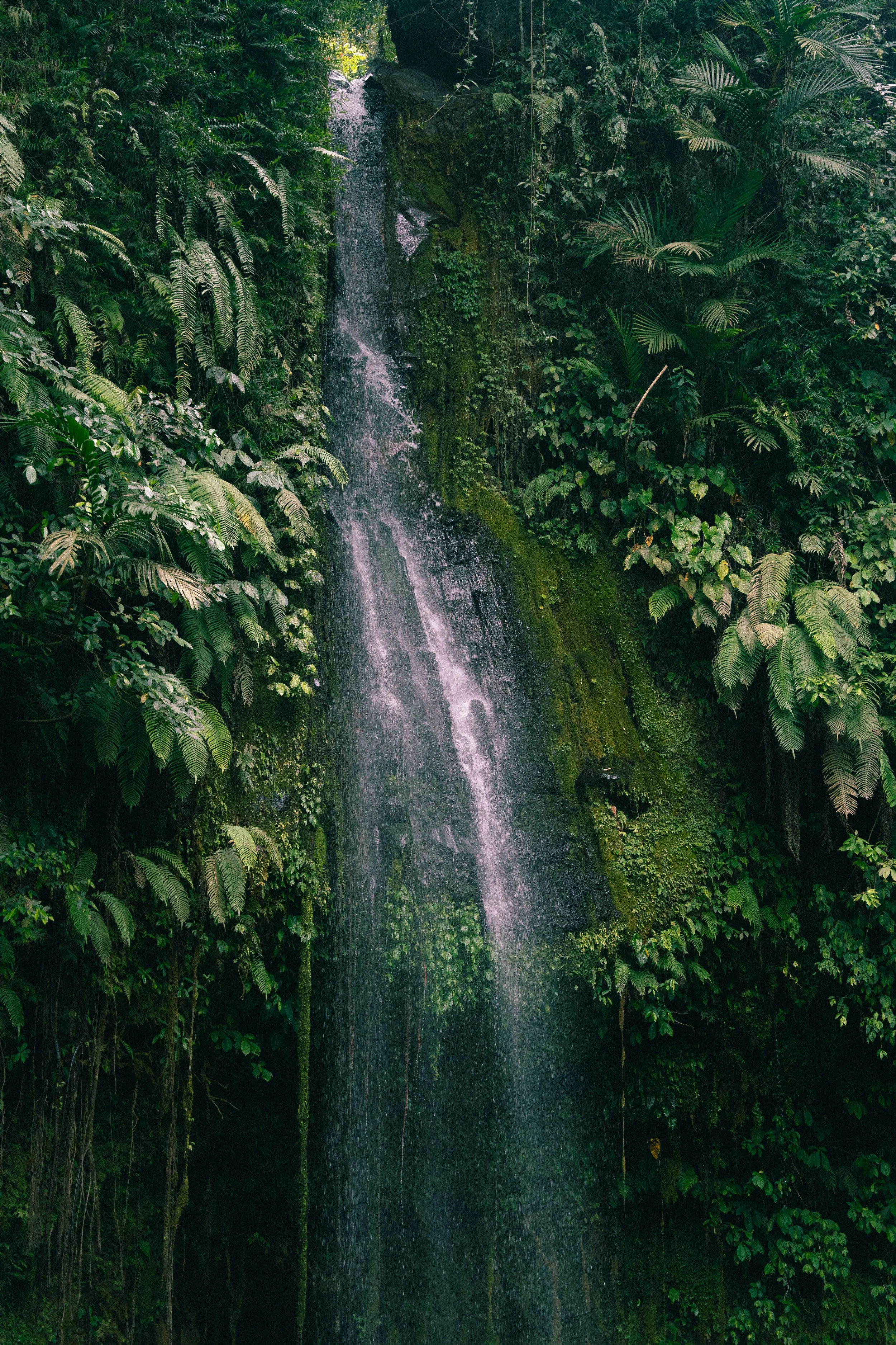 Tetabatu-waterfall-2-travel fotografie-Michsmemento.jpg