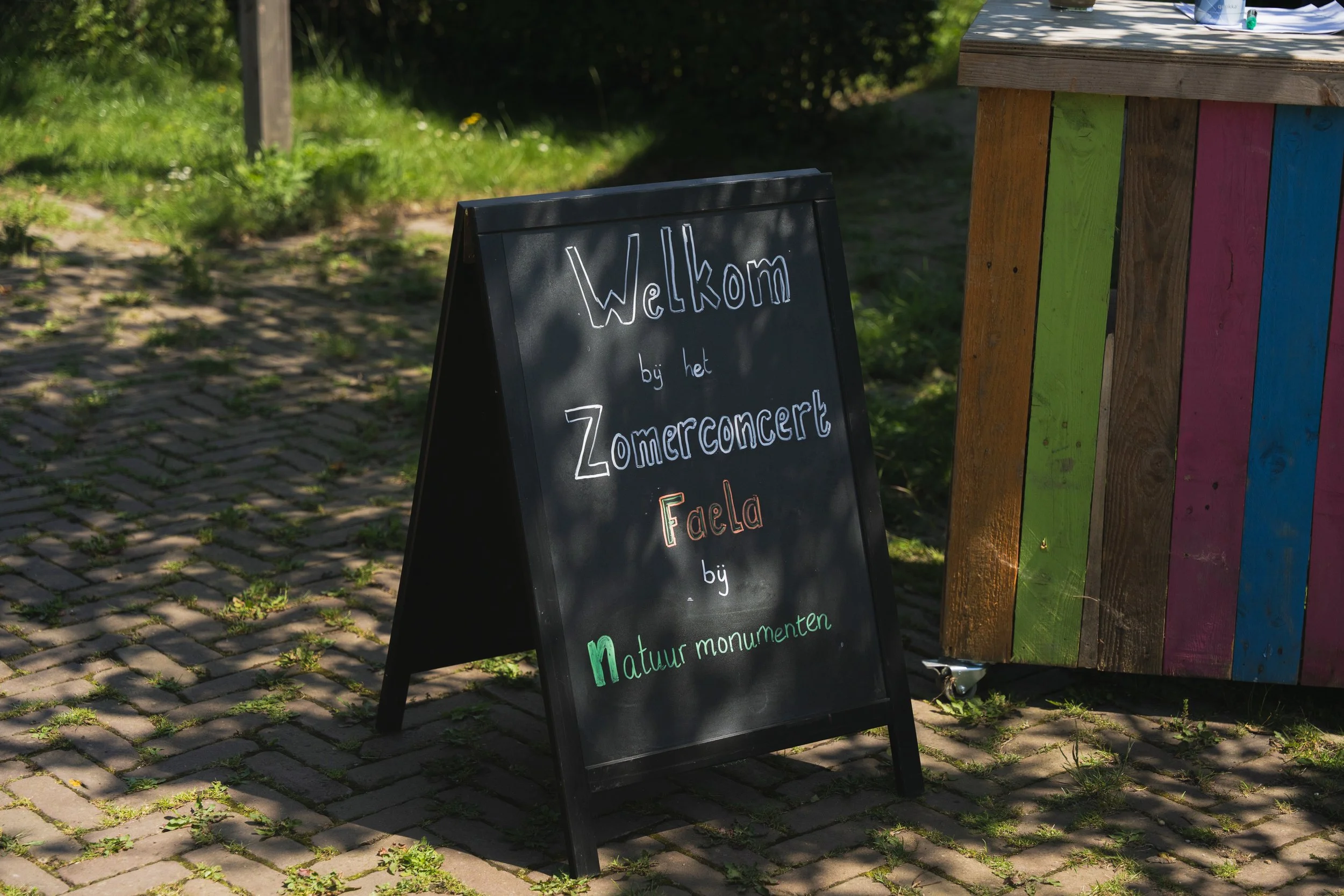 evenementen-fotograaf.jpg