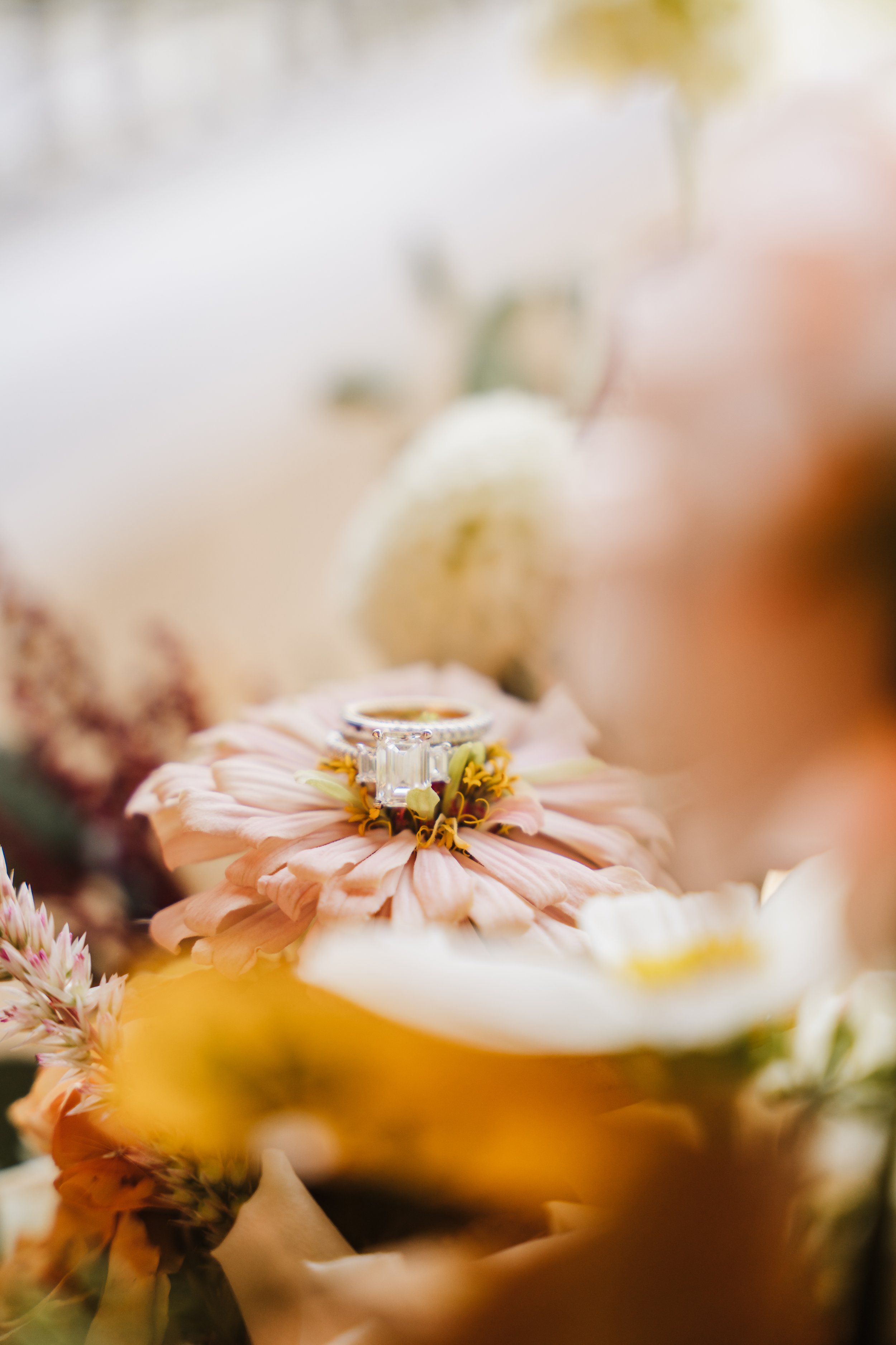 LaurenJon-Colorado-Wedding-Photographer-002.jpg