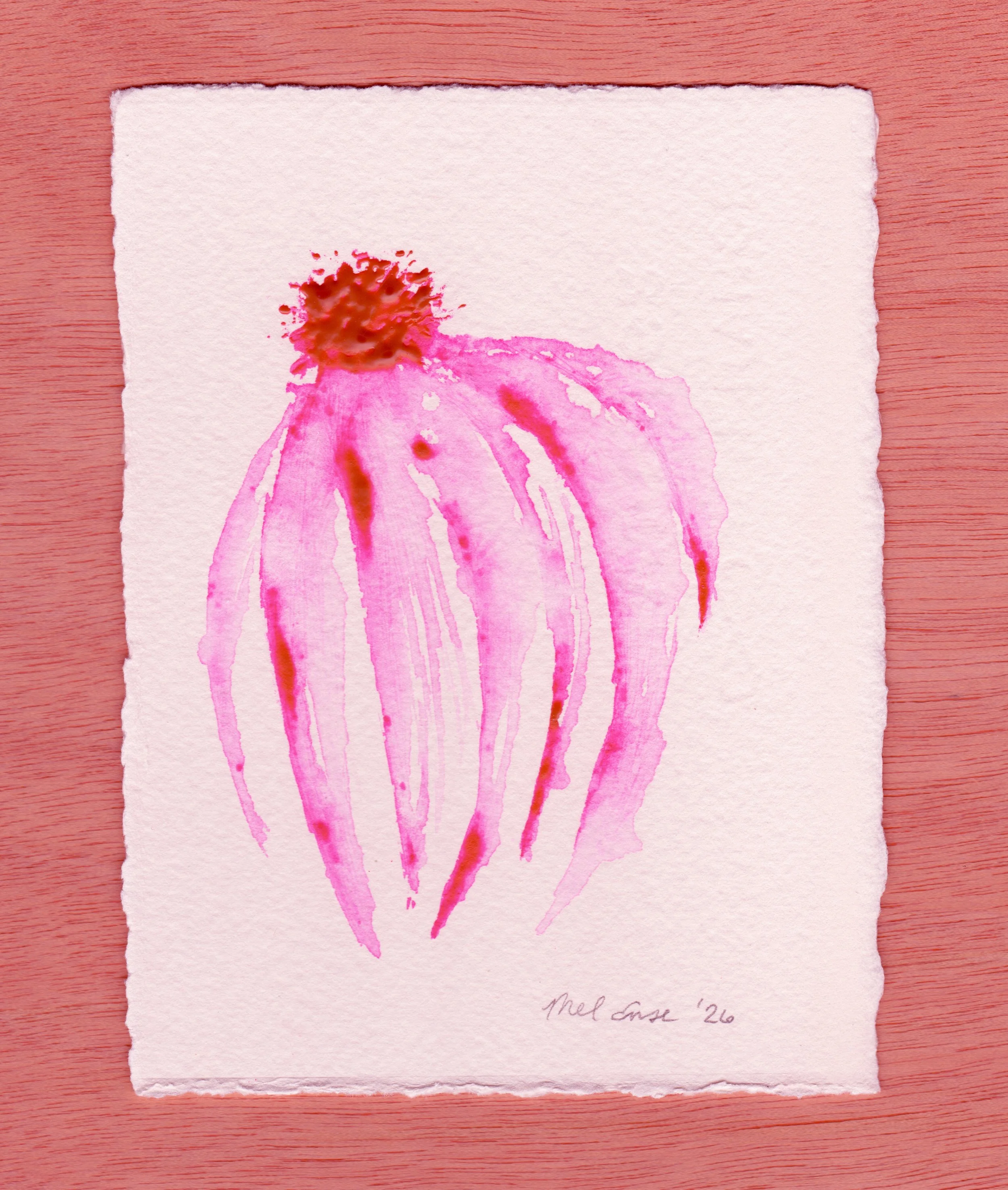 Echinacea (All of Our Medicine Series) original