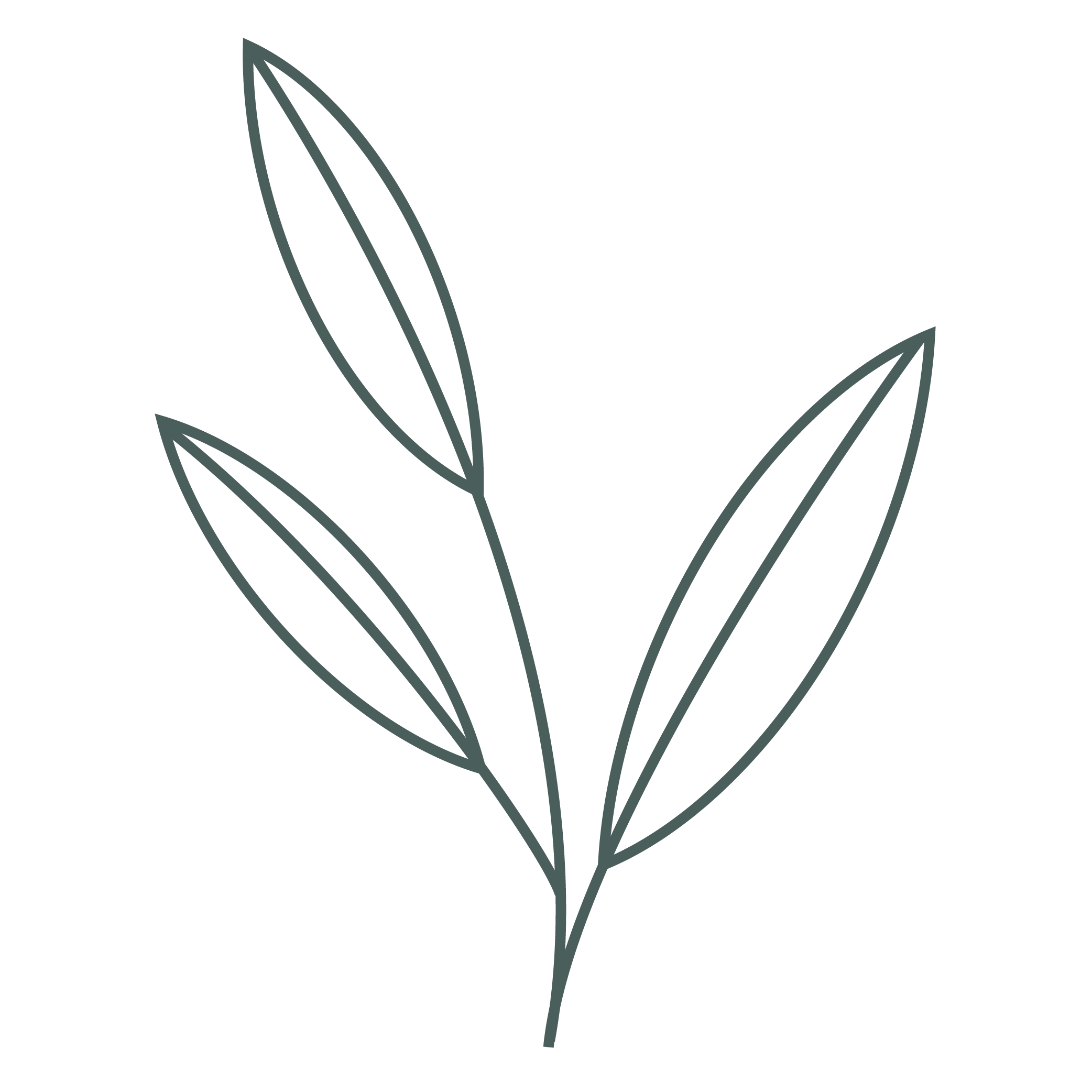 Clarity Relationship Therapy Logo