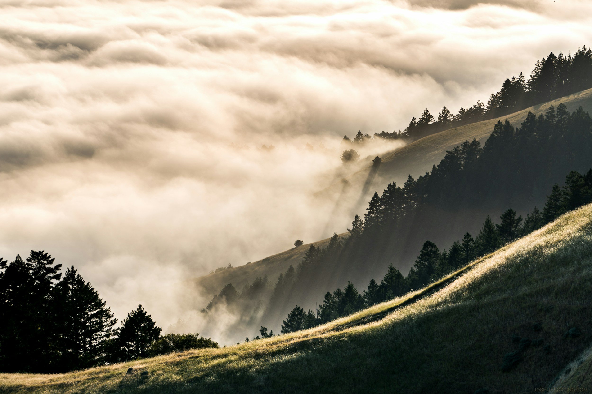 Hilly landscape with a forested mountain slope, clouds in the sky, and sunlight shining through the trees.