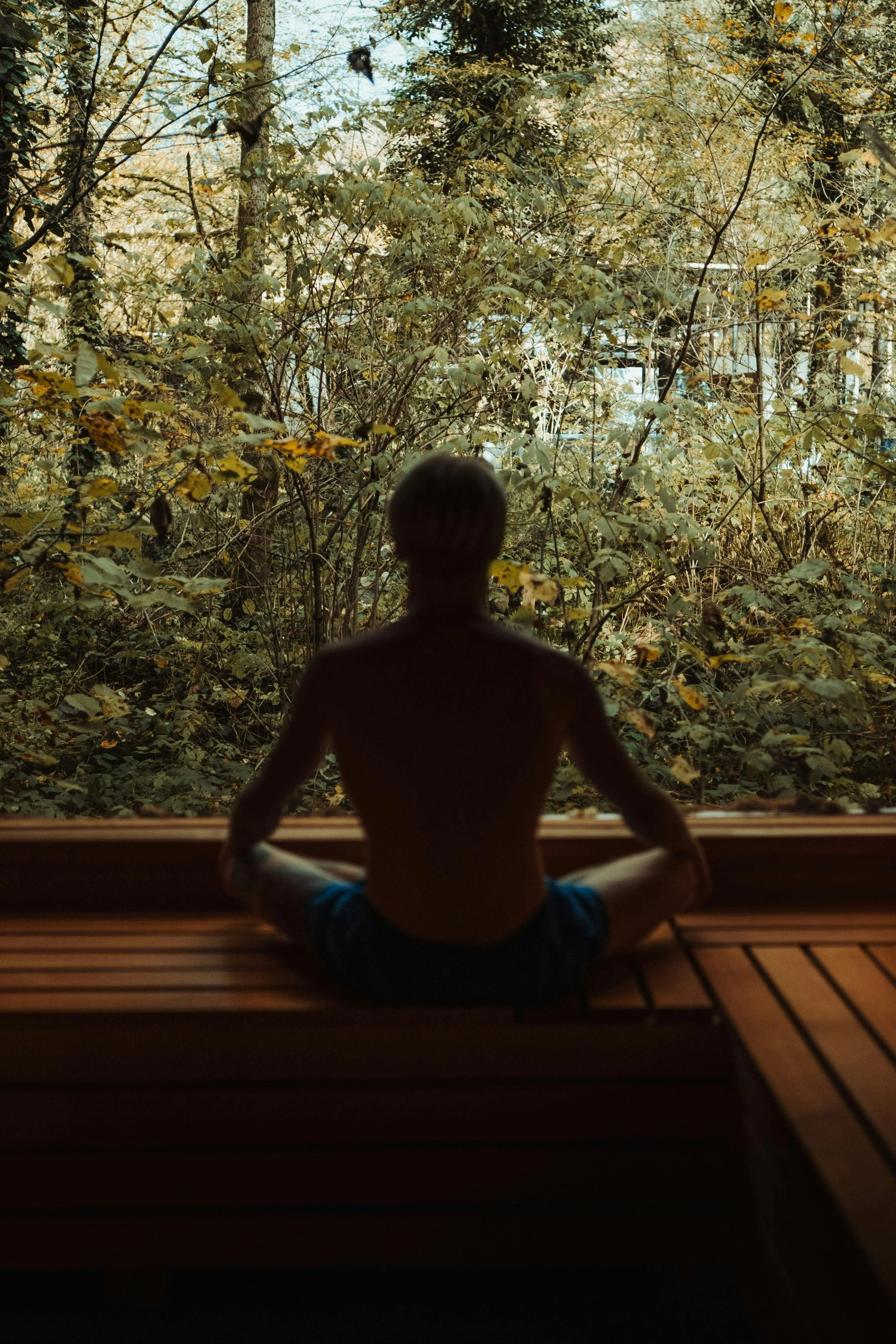 A person sitting cross-legged on a wooden floor in front of a large window, practicing meditation in a lush, green forest setting.