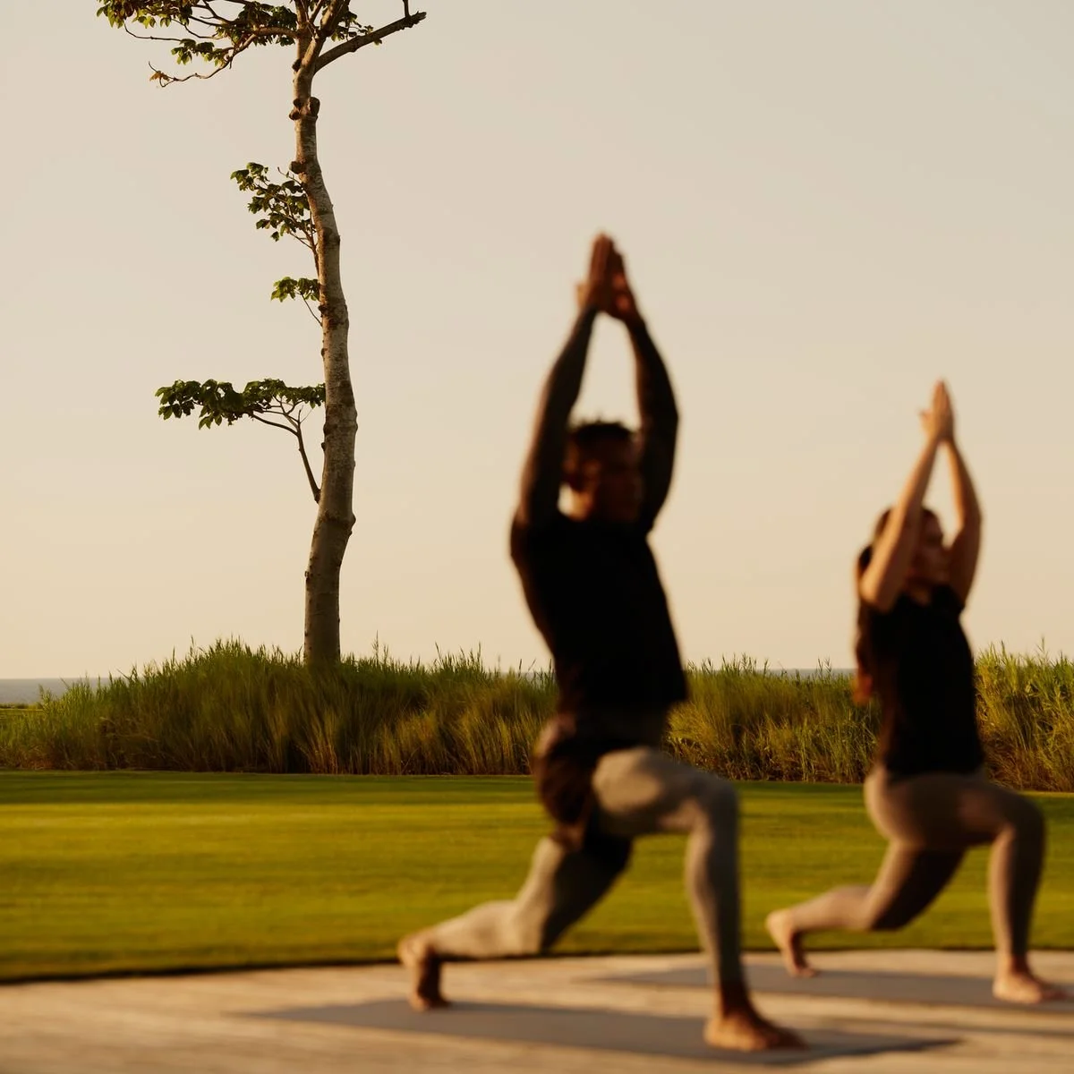 Two people practicing yoga outdoors during sunset, performing downward dog pose, with a tree and grassy landscape in the background.
