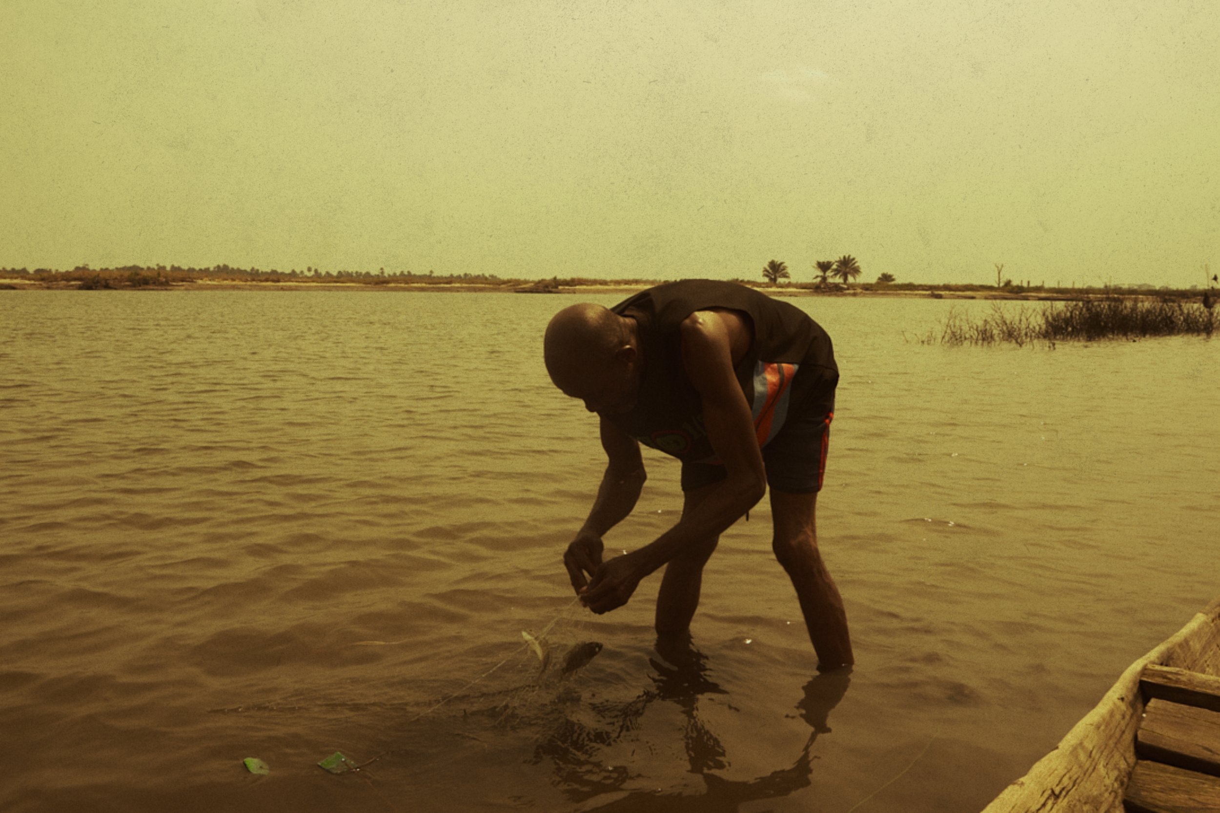 Chukwudi Nwachukwu_Harvesting the River.jpg