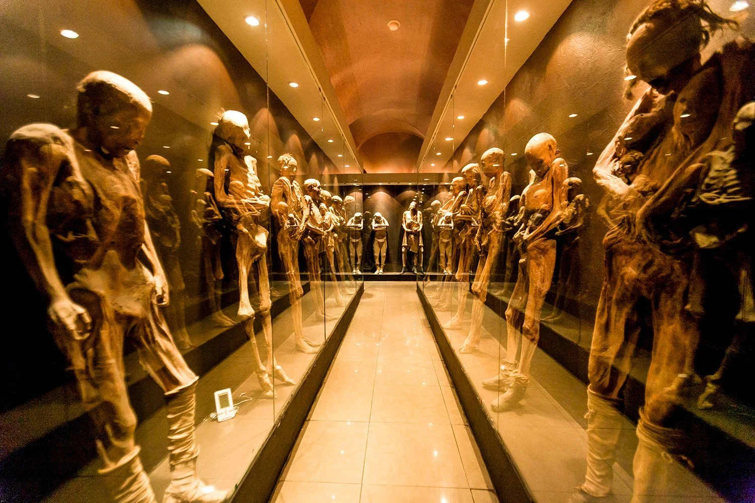 A long glass display case filled with numerous wooden skeletal mannequins dressed in tattered clothing, arranged in rows along a narrow corridor in a museum exhibit.