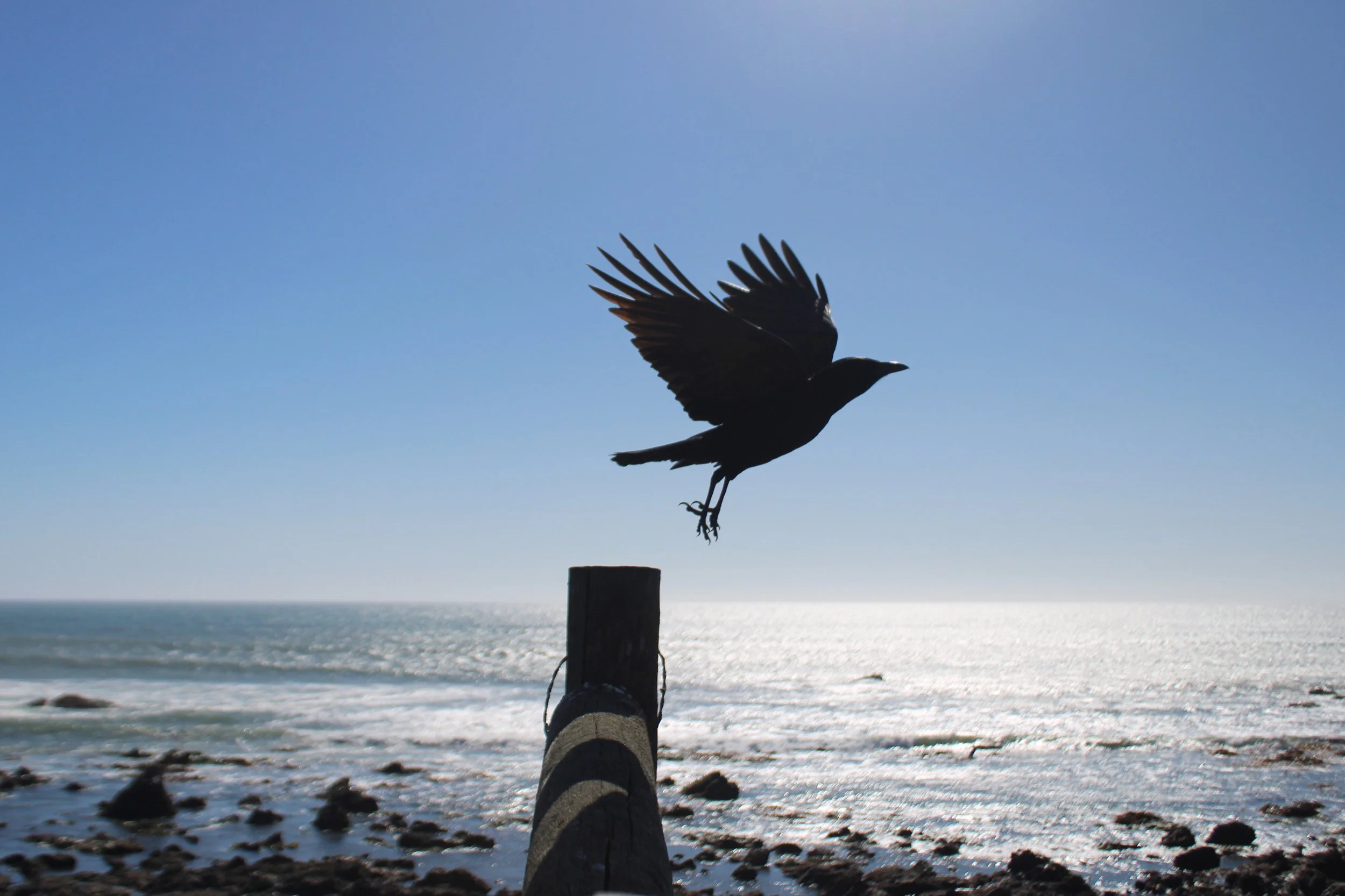11084FAD-3572-49DF-AE2B-5D99CEAD18B3.JPG