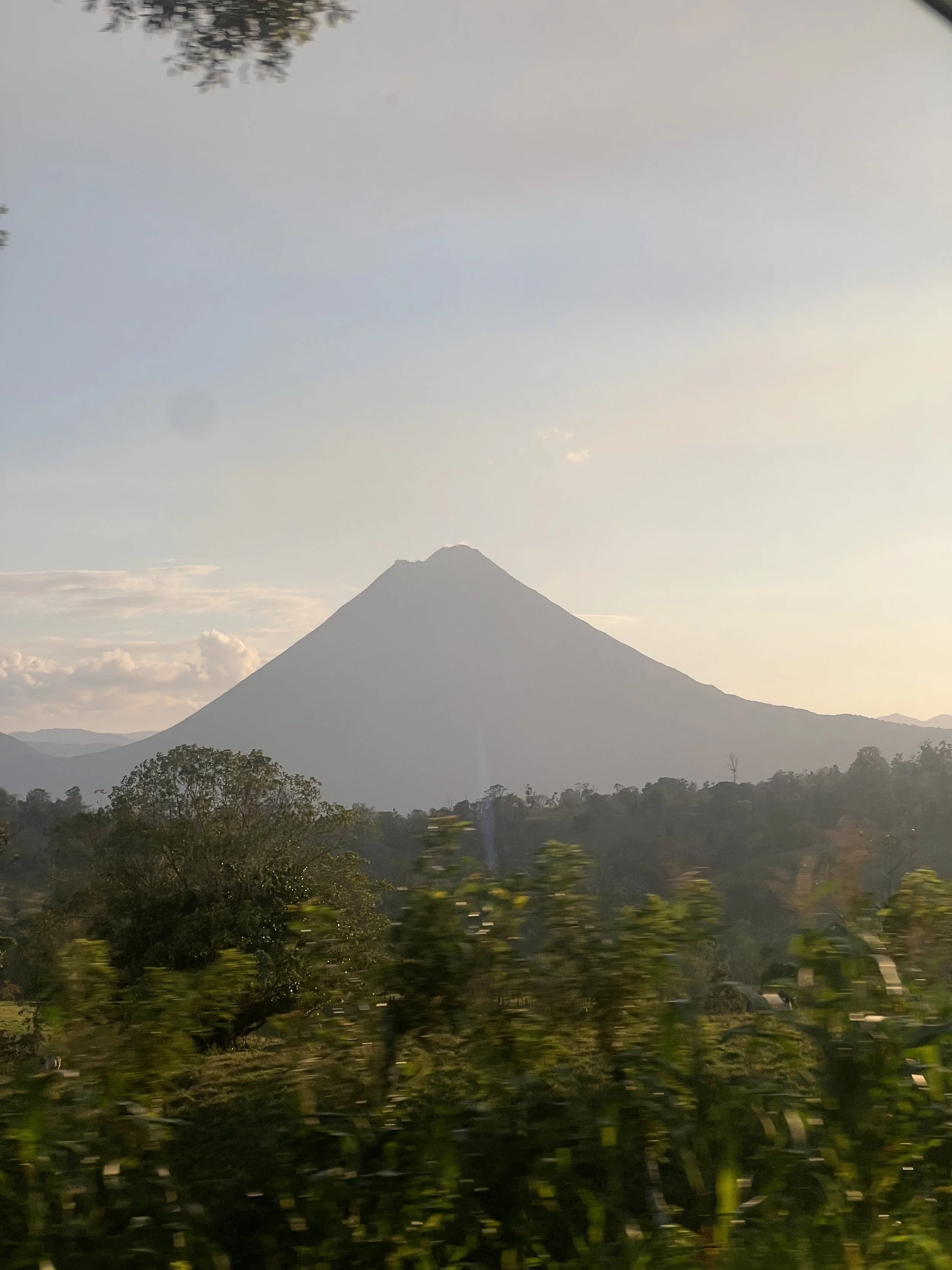 IMG_1009.jpeg