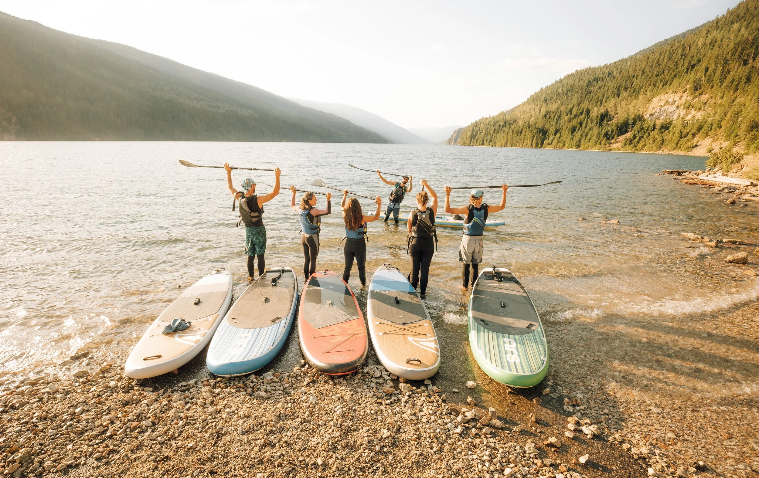 Paddle board Rentals