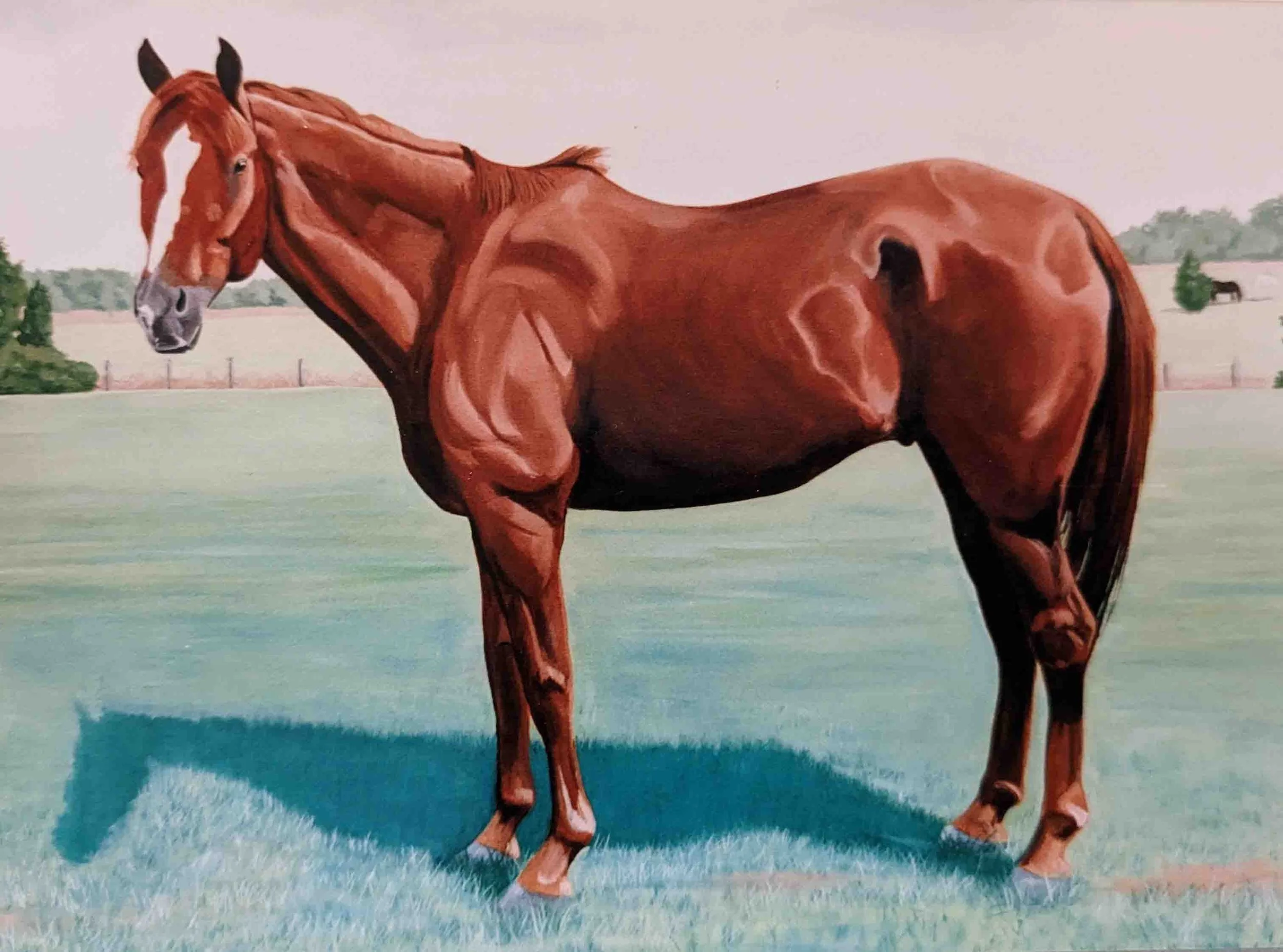Artist Mark Ruddy Animal Portraits (2).jpg