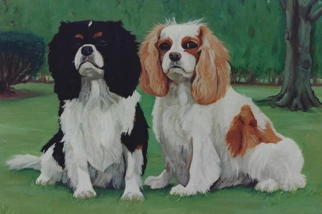 "Two King Charles Cavaliers"  oil on canvas  24”x 18” SOLD