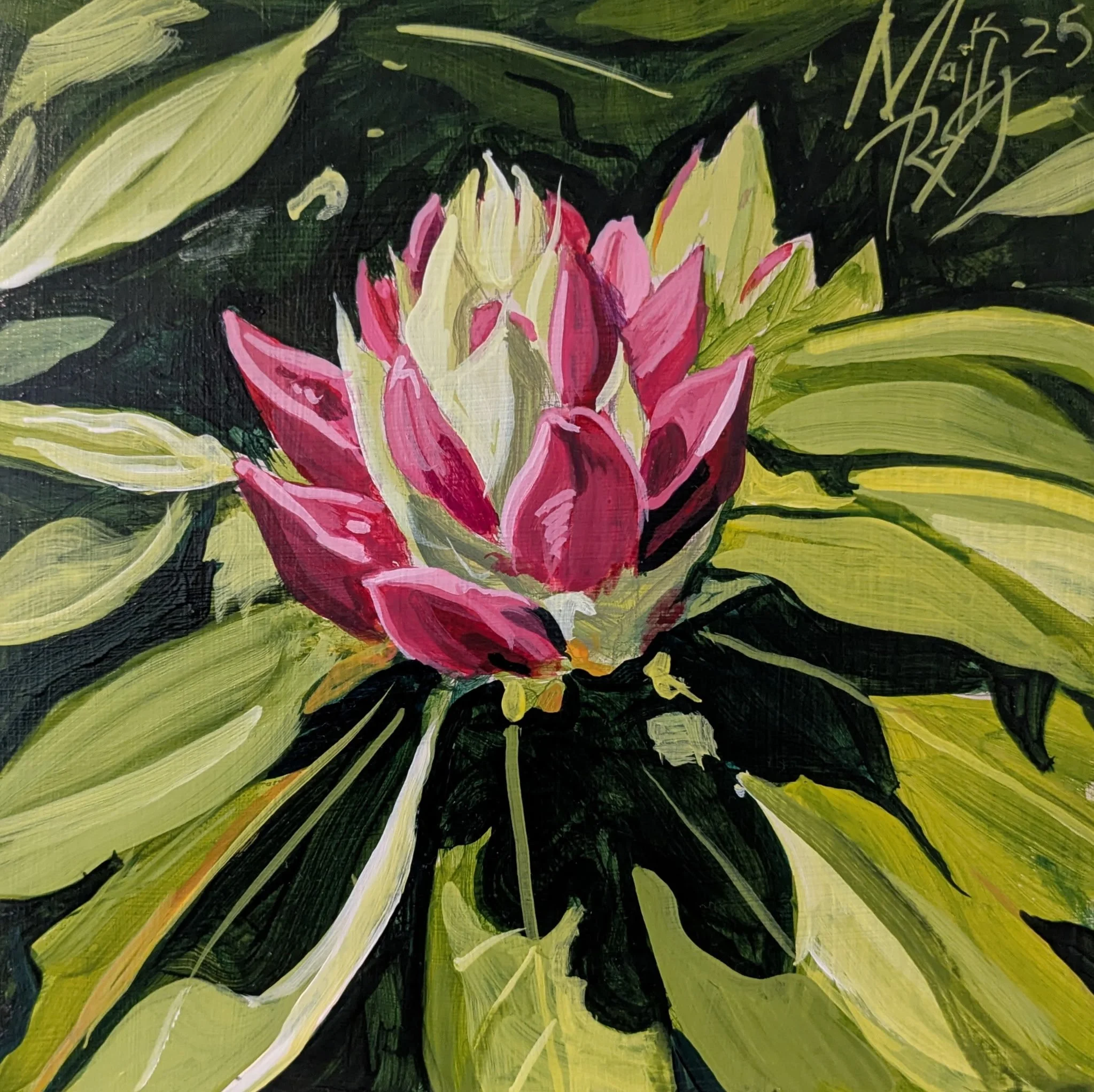 “Rhododendron Bud” acrylic on panel 8”x 8”