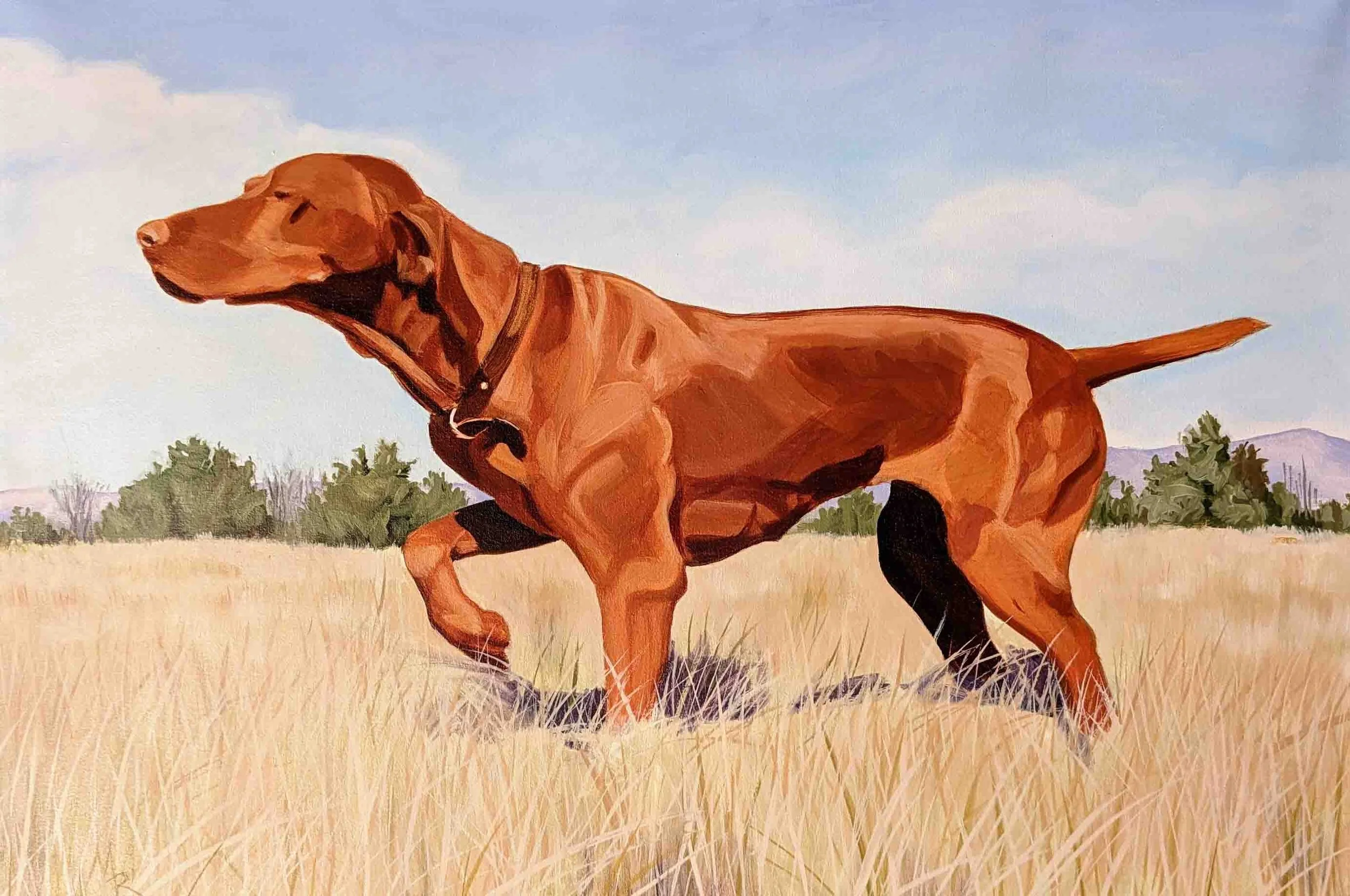 Artist Mark Ruddy Animal Portraits (1).jpg