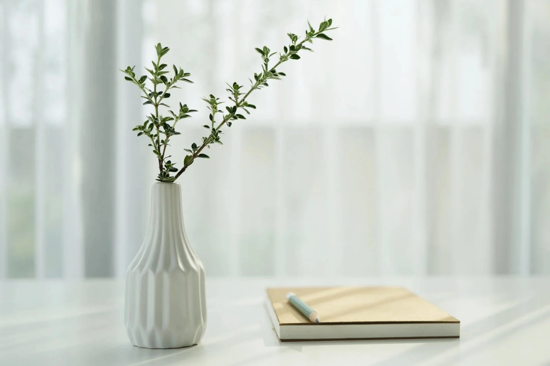 A white vase with a green leafy plant on a white surface, with a notebook and pen nearby, in front of a faintly visible curtain background.