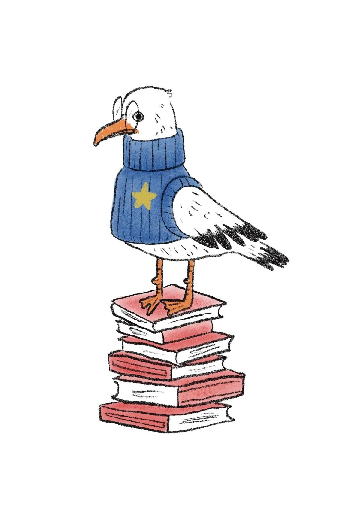 seagull.jpg