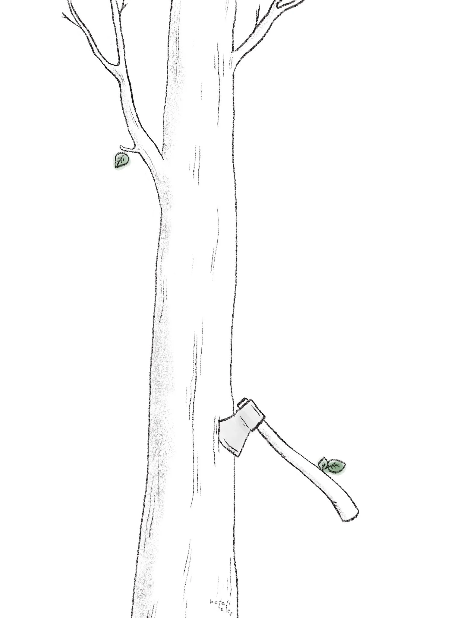 axe.jpg