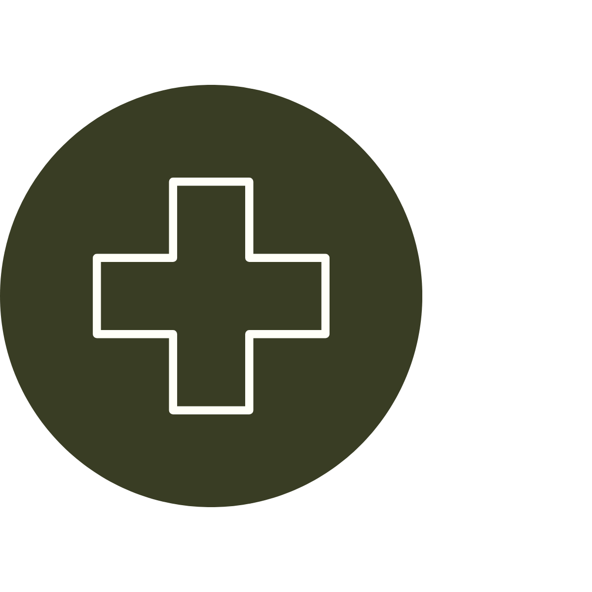 Medical cross symbol inside a dark green circle.