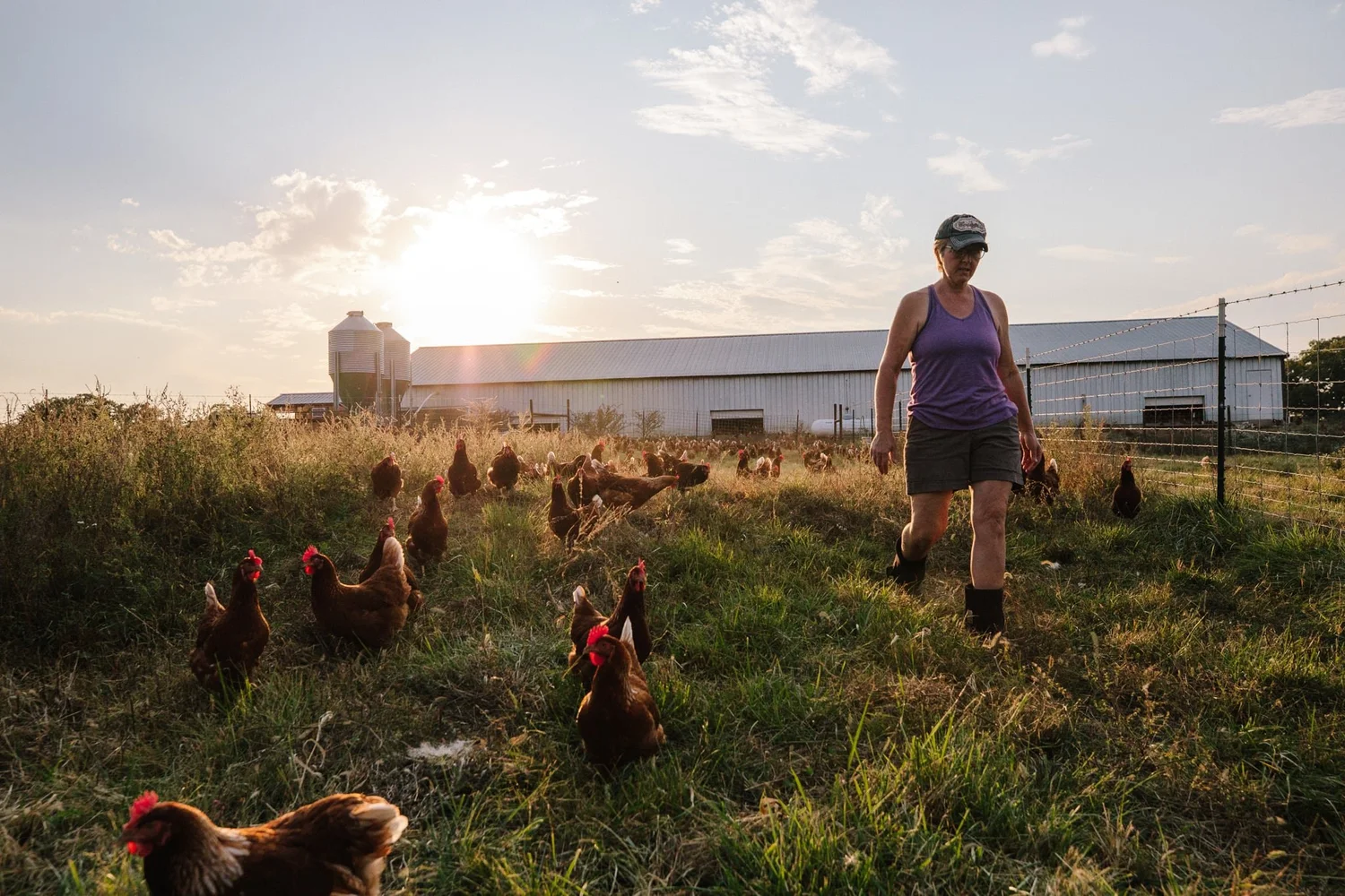 Vital Farms