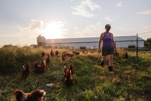 Vital Farms