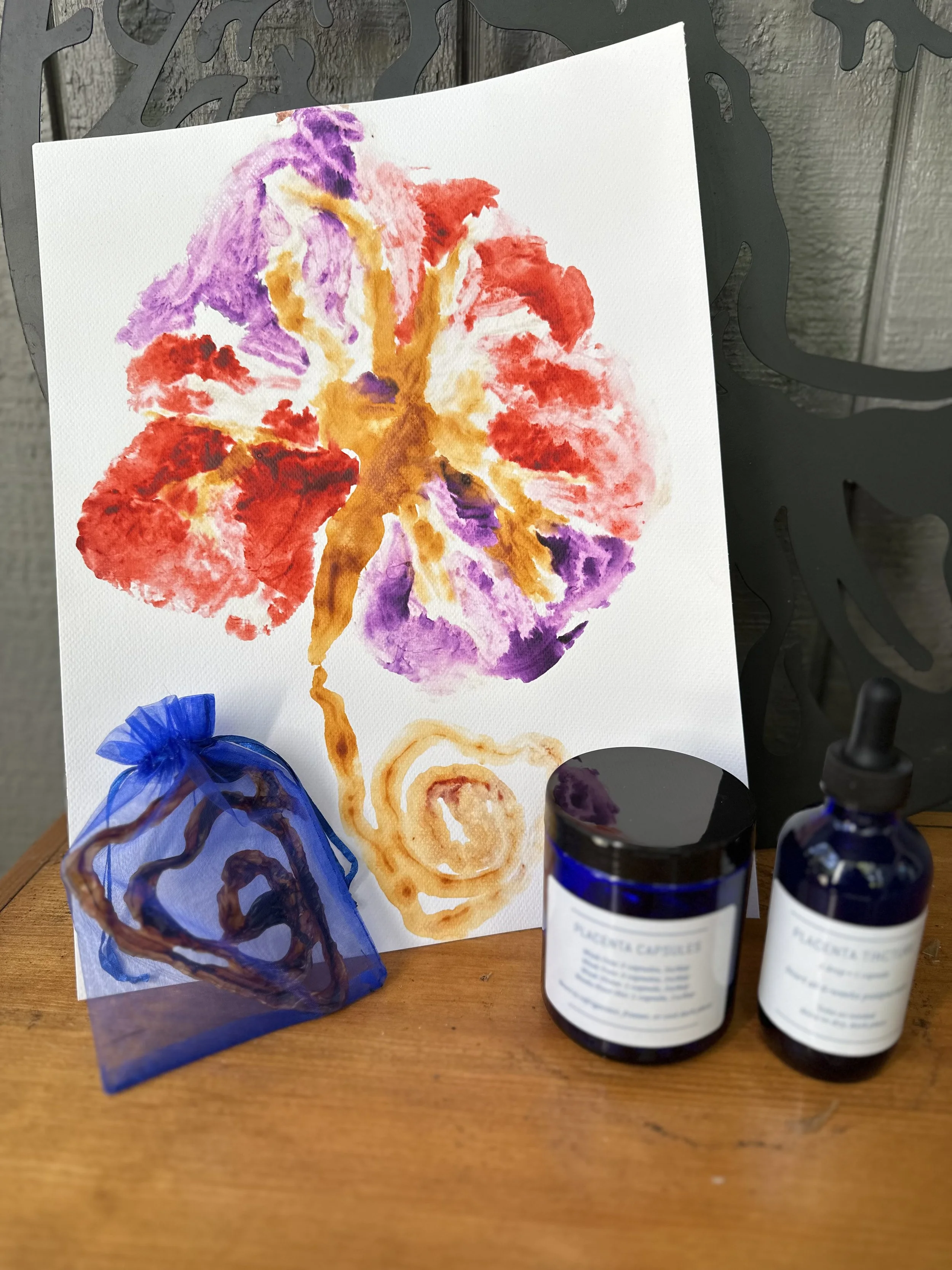 An example of a keepsake placenta print. In front of the print, there is a blue mesh bag containing a cord keepsake, and two bottles labeled 'Placentia Capsule' and 'Placentia Tincture' on a wooden table.