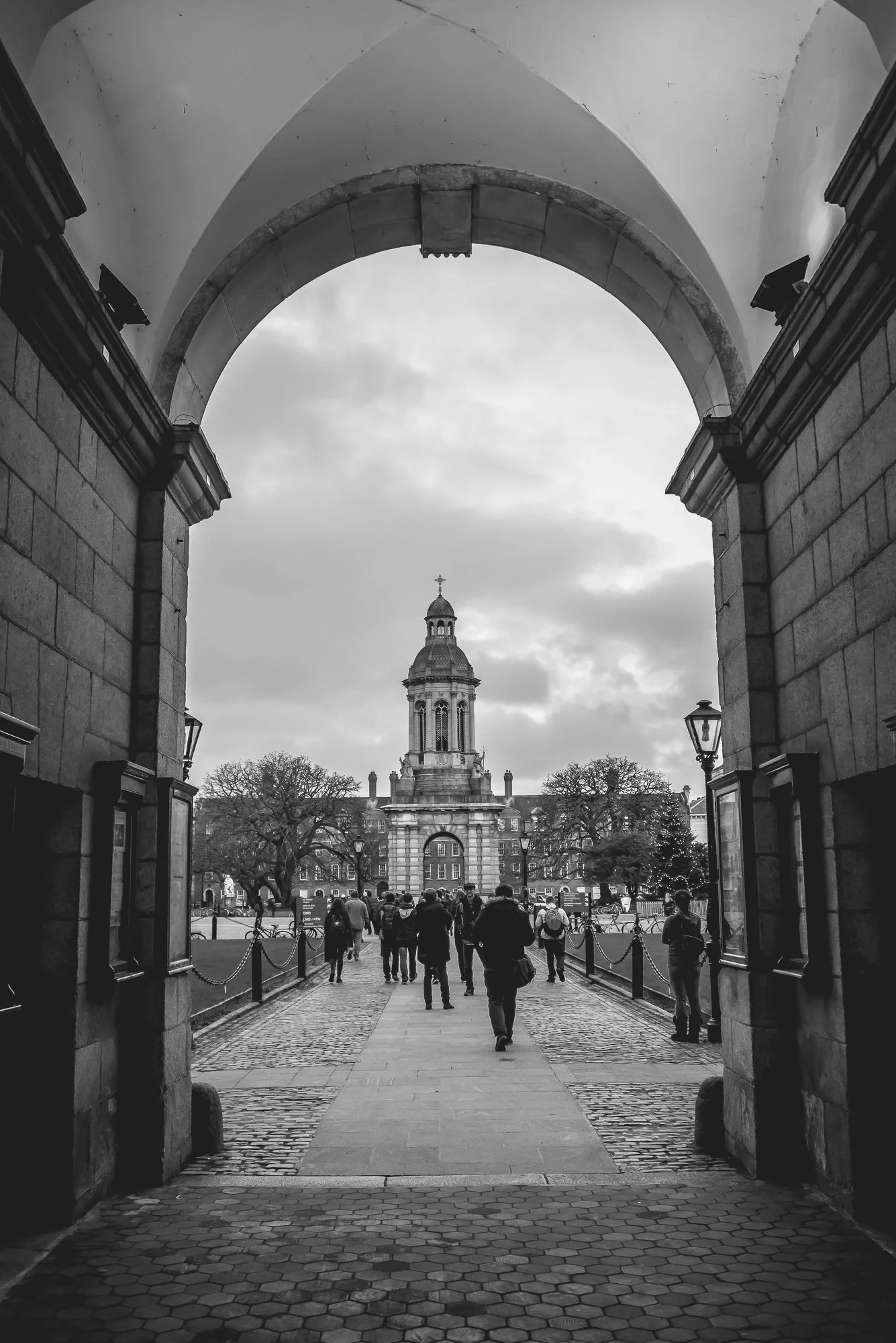 DSC_1644.jpg