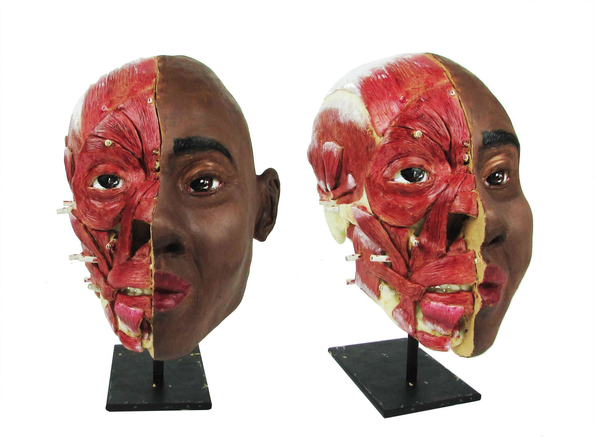 Facial Reconstruction Using Tissue Depth Markers - Clay+Makeup/Cosmetics - 2020
