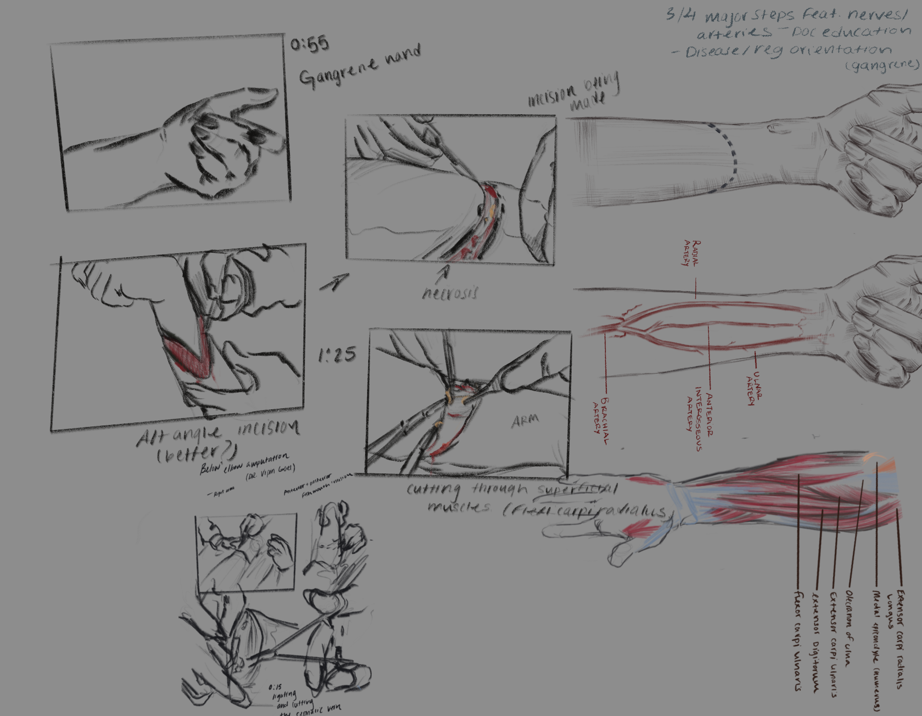 Surgical Observation Notes - Procreate - 2021