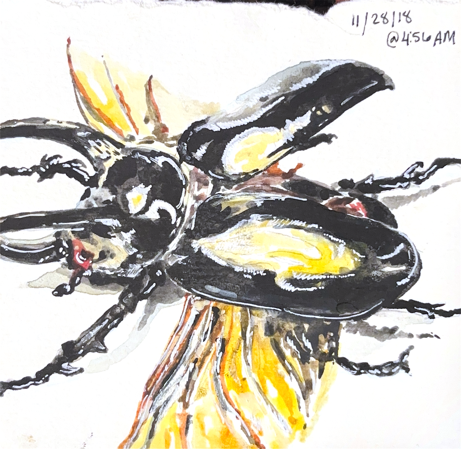 4"x4" - Watercolor - 2021