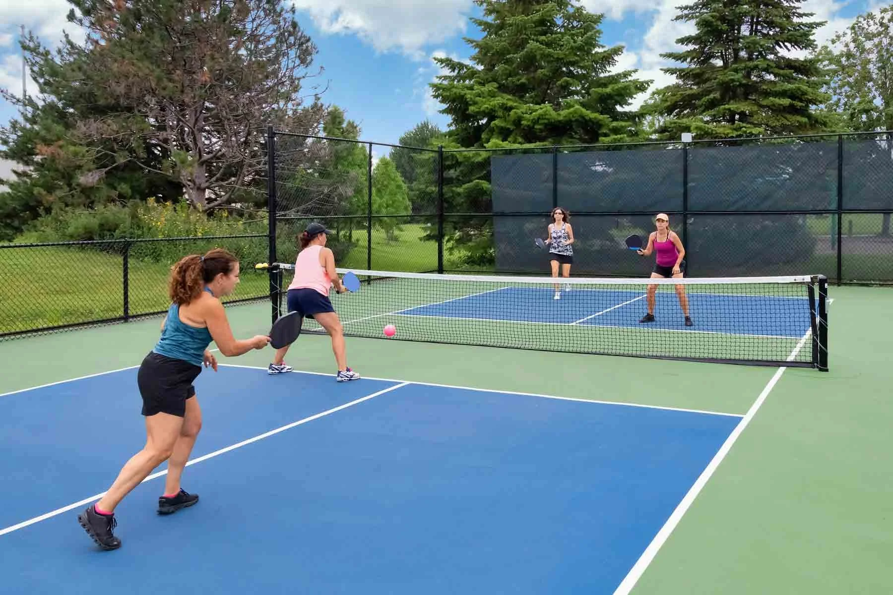 Pickleball 101: Understanding the Game, Rules, and Essential Fitness and Gear