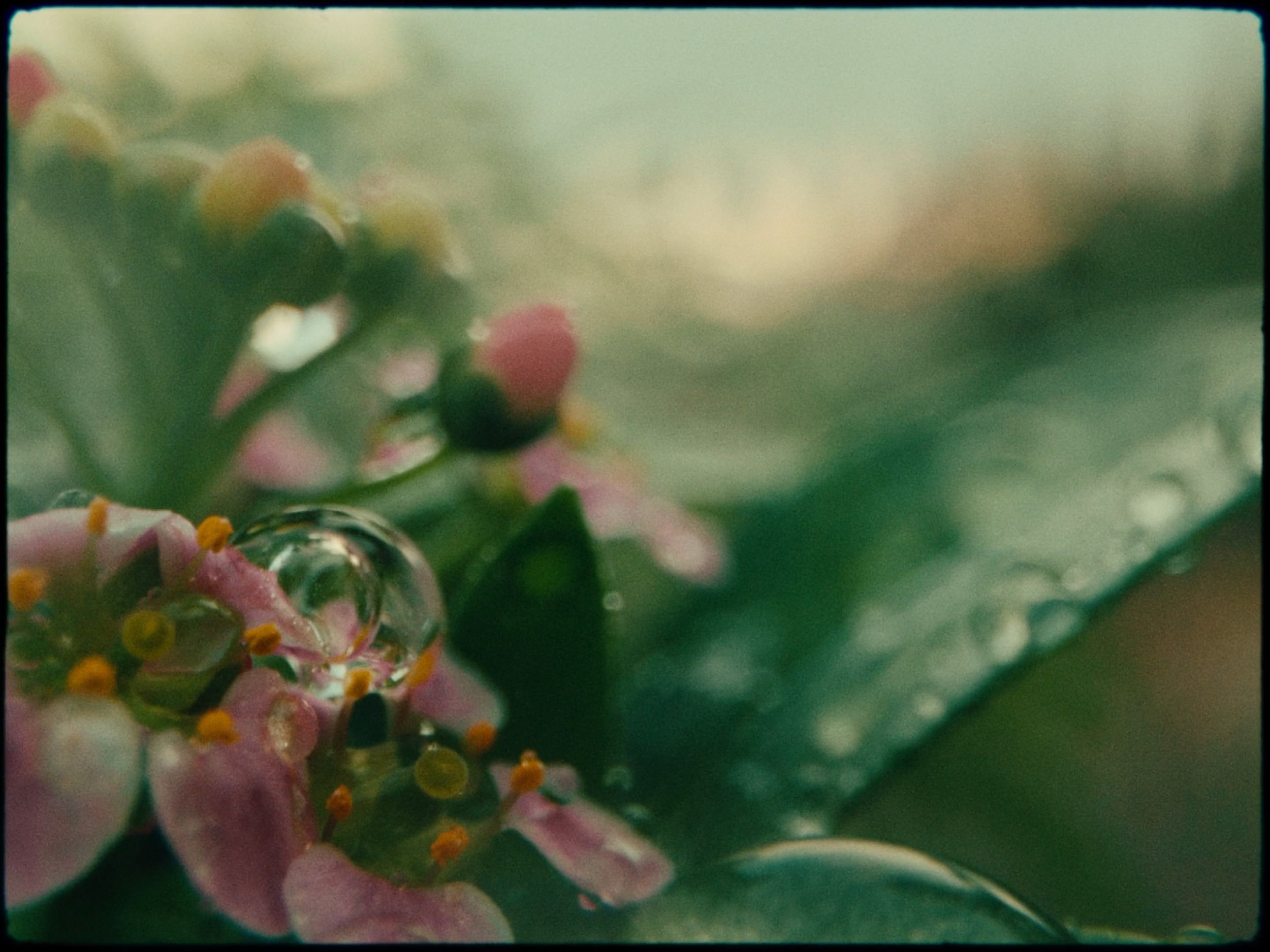 4 - Third Act The Sweet Epilogue.jpg