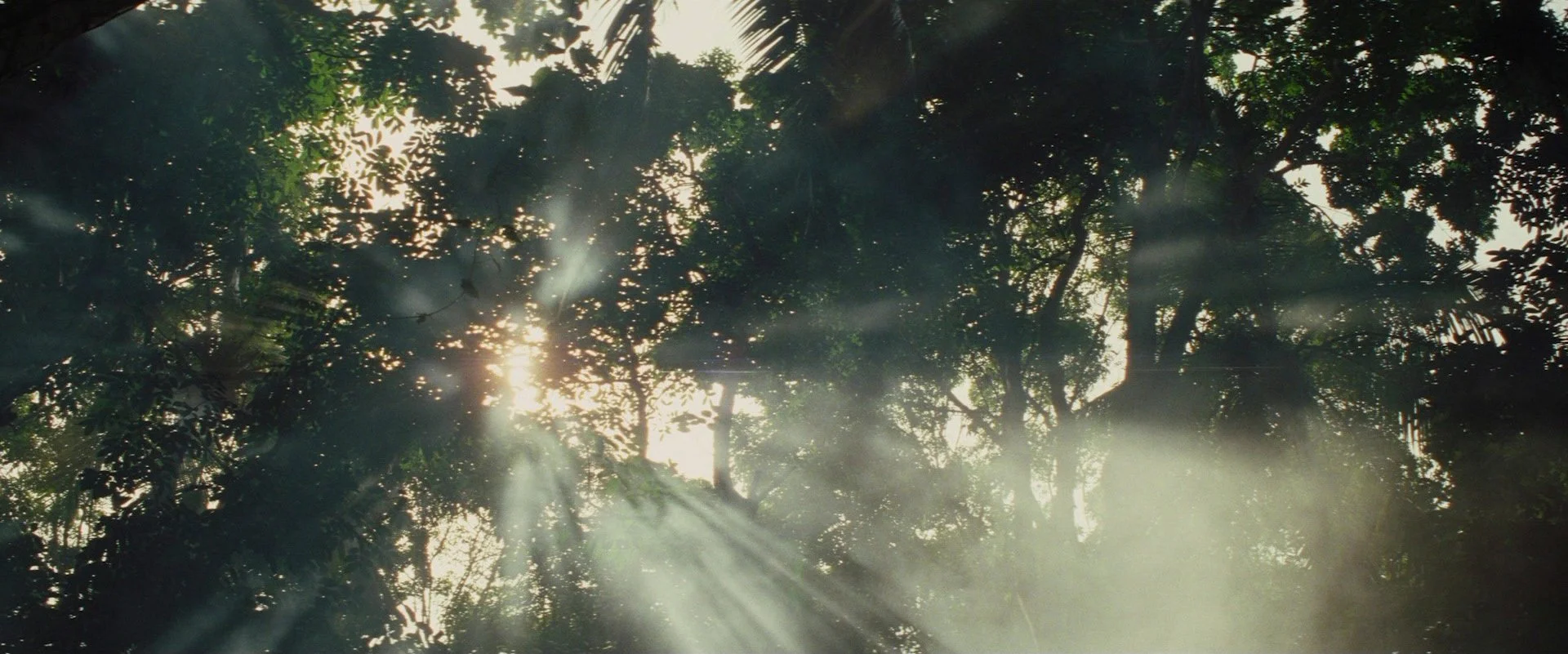 8 - The Lost City of Z.jpg