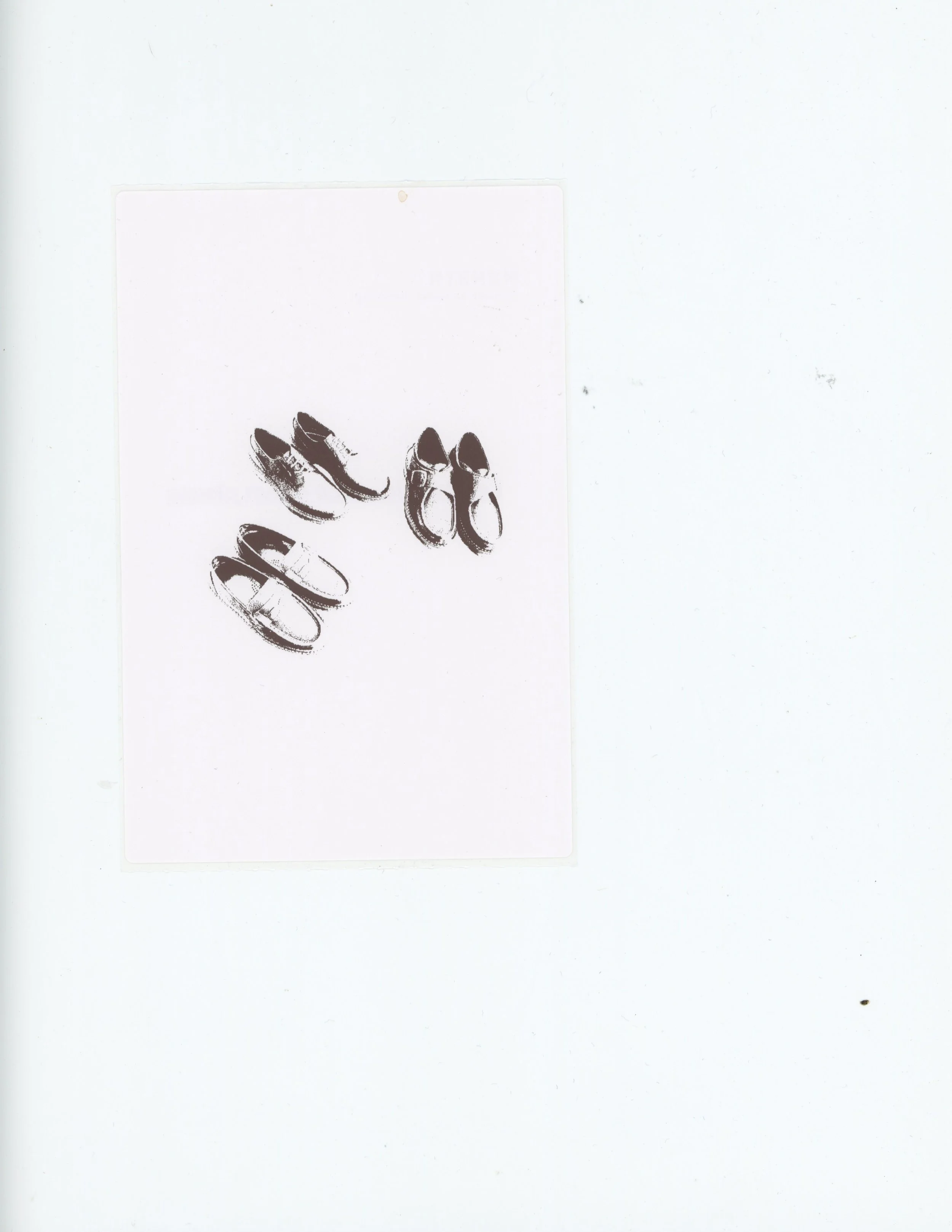 Scan 113.jpeg