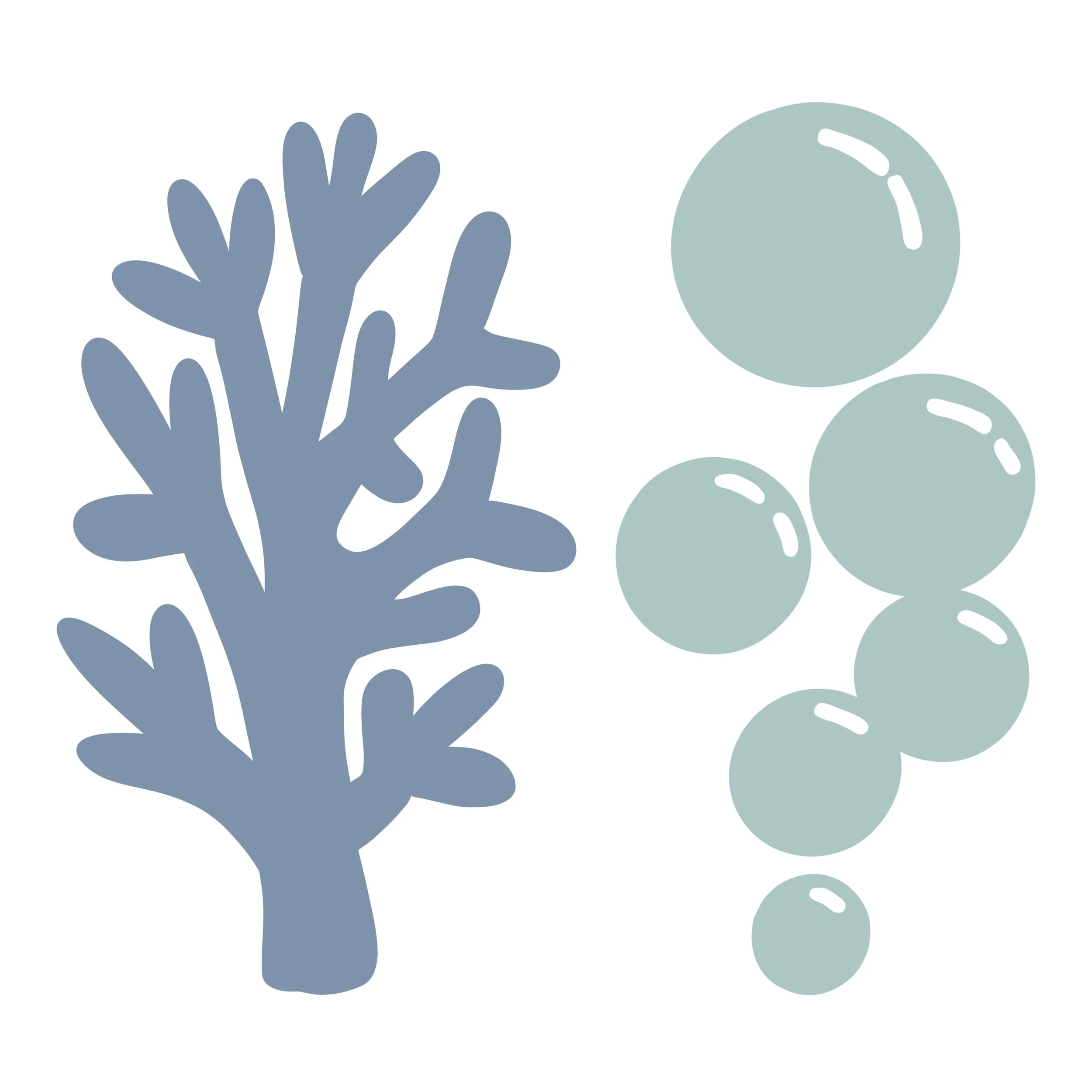Stylized abstract illustration of seaweed and bubbles in shades of blue and green.