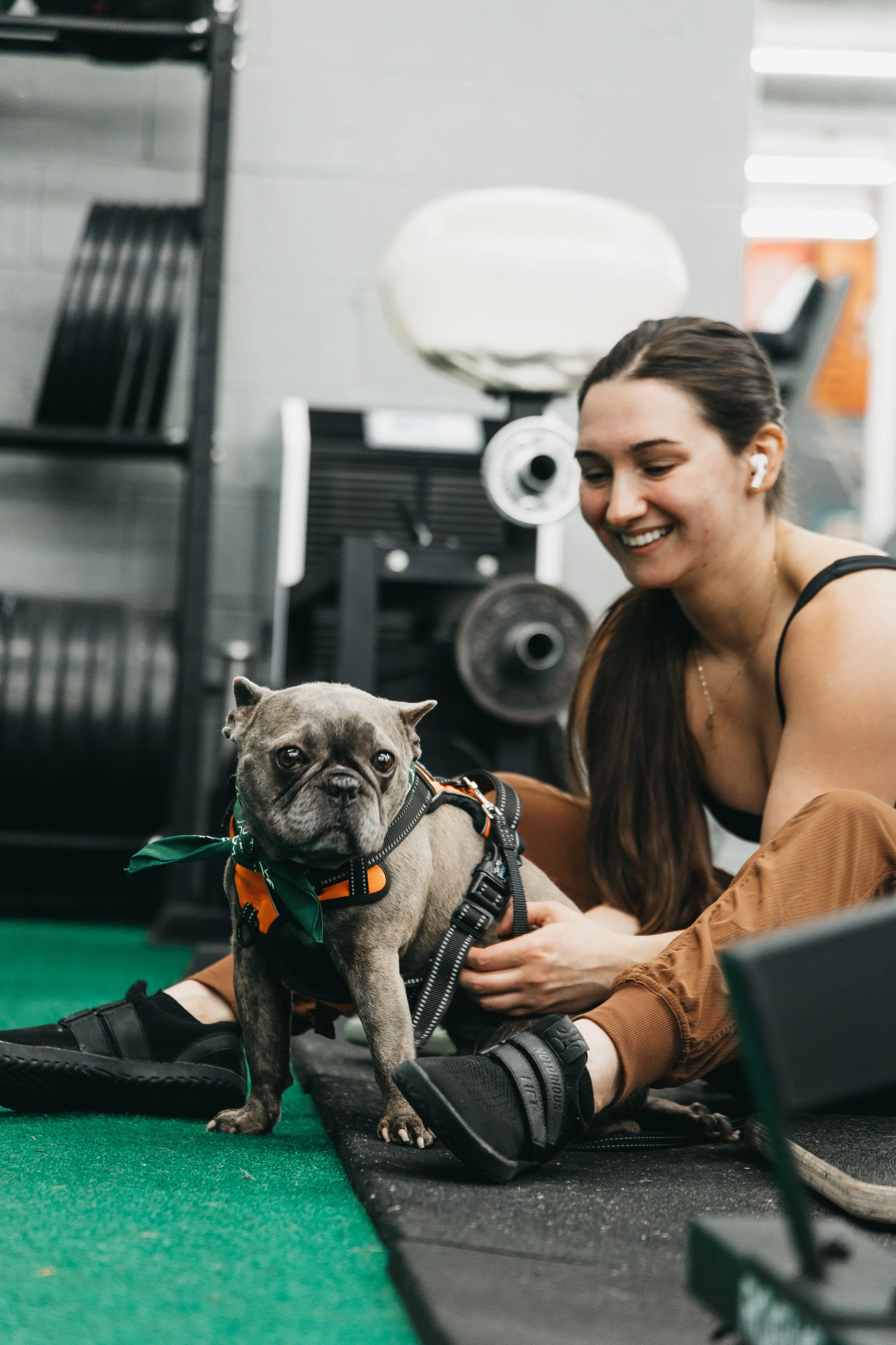 A woman smiling at a French bulldog in a gym or training facility, with gym equipment and a green mat in the background.