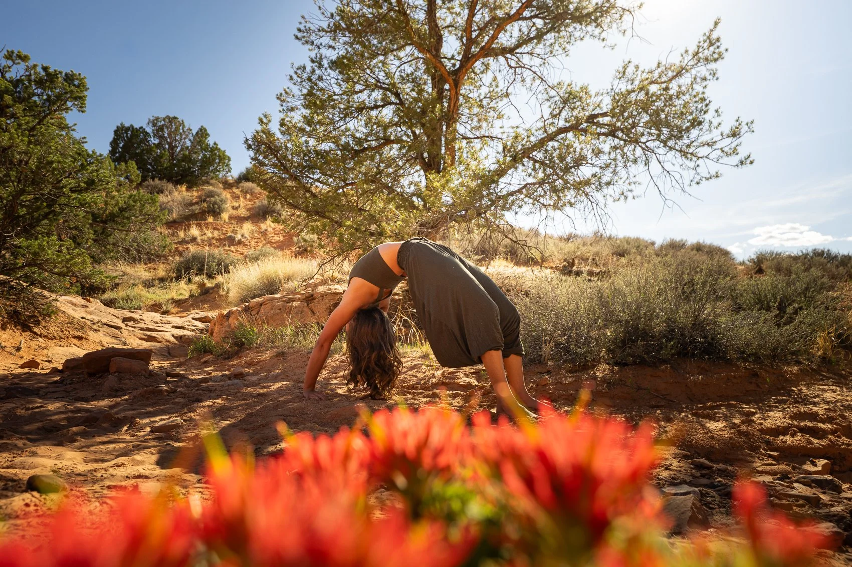 A woman practicing yoga outdoors in a desert-like landscape with sparse vegetation, a large tree, and a bright blue sky, performing a bridge pose with her back arched and her hands and feet on the ground.