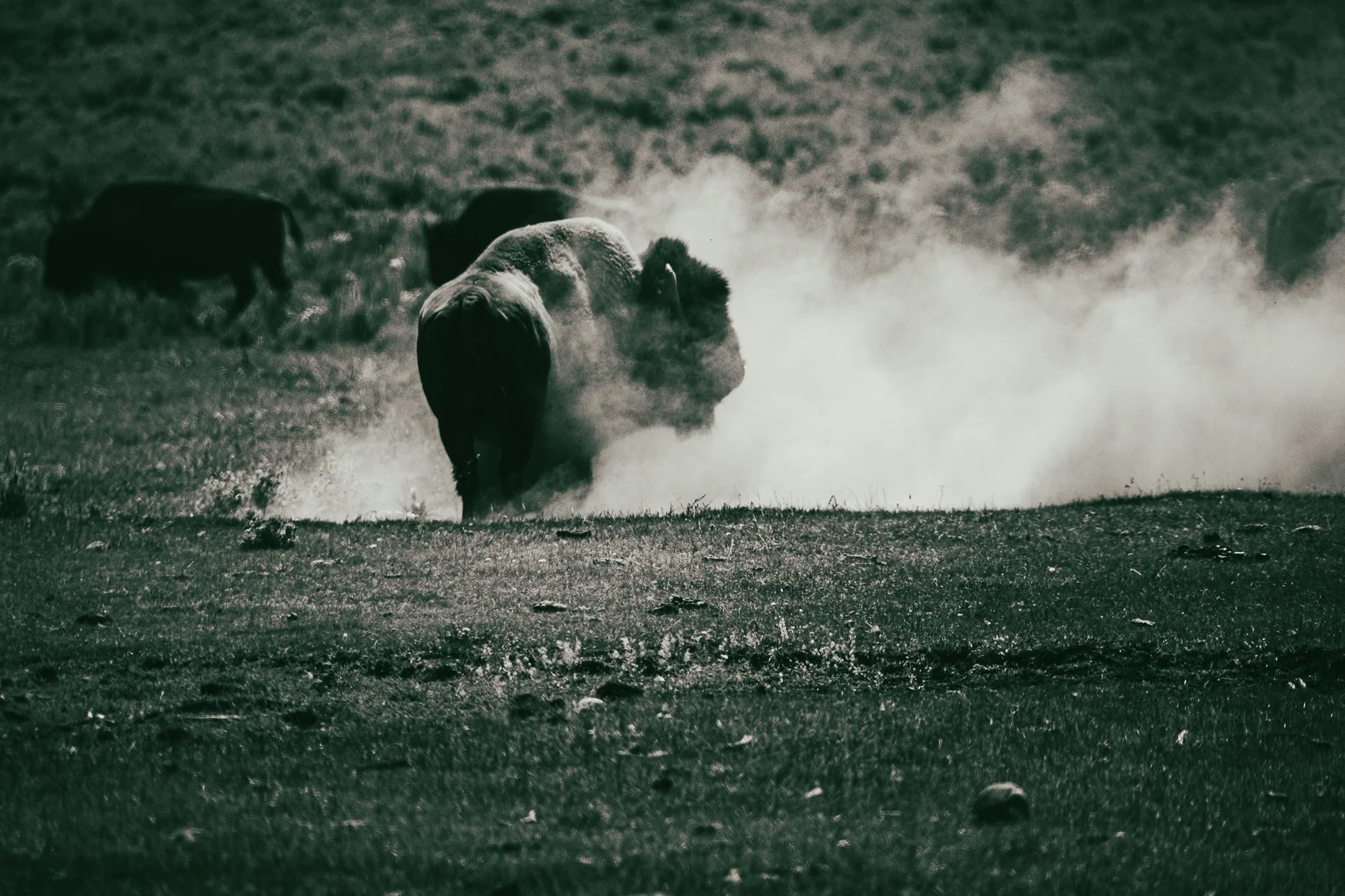 Yellowstone Photography Guide: Best Locations and Times of Day for Breathtaking Shots