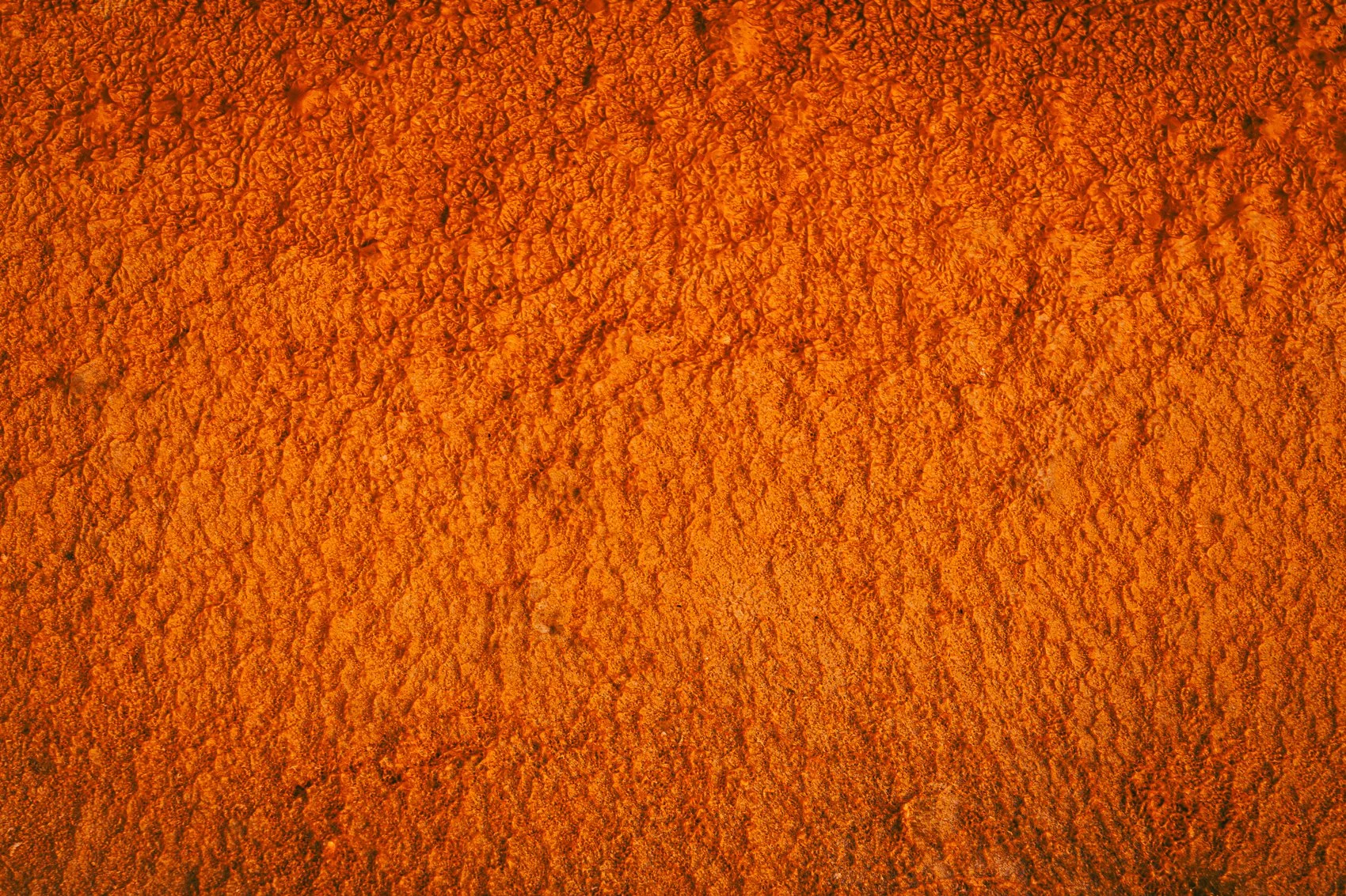 Close-up of a textured, orange surface with a rough, uneven pattern.