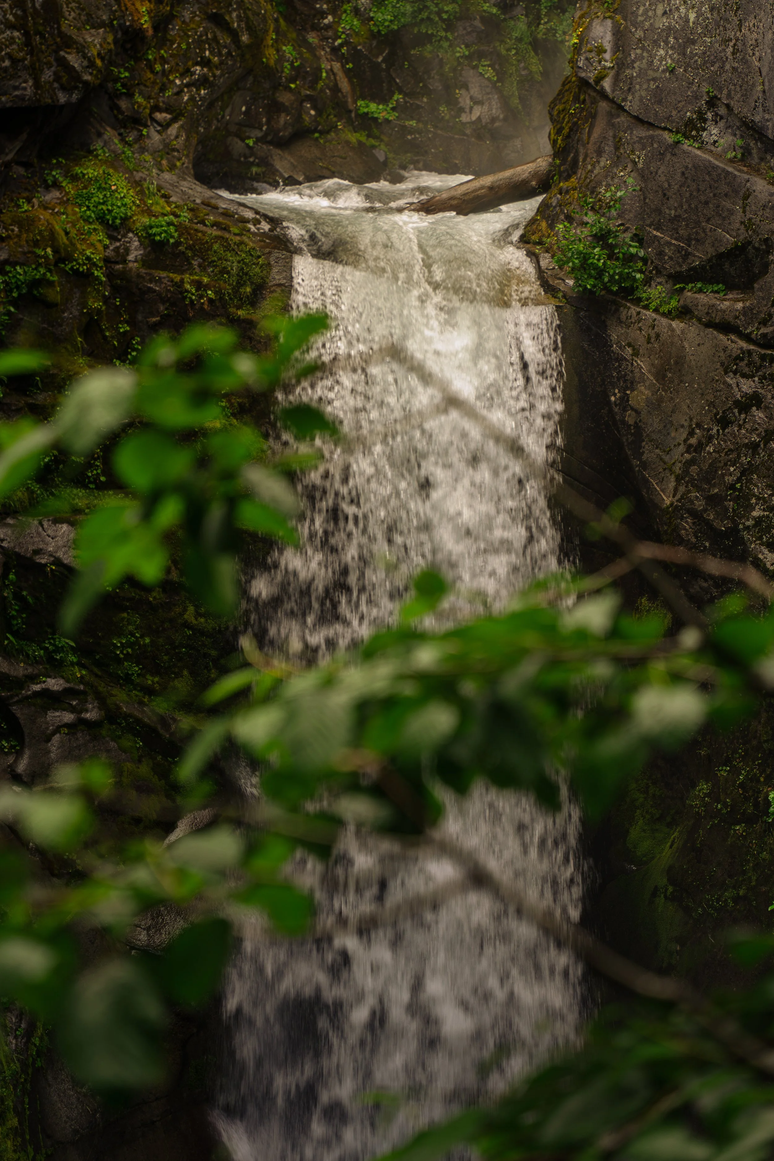 DSC03327-Enhanced-NR.jpg