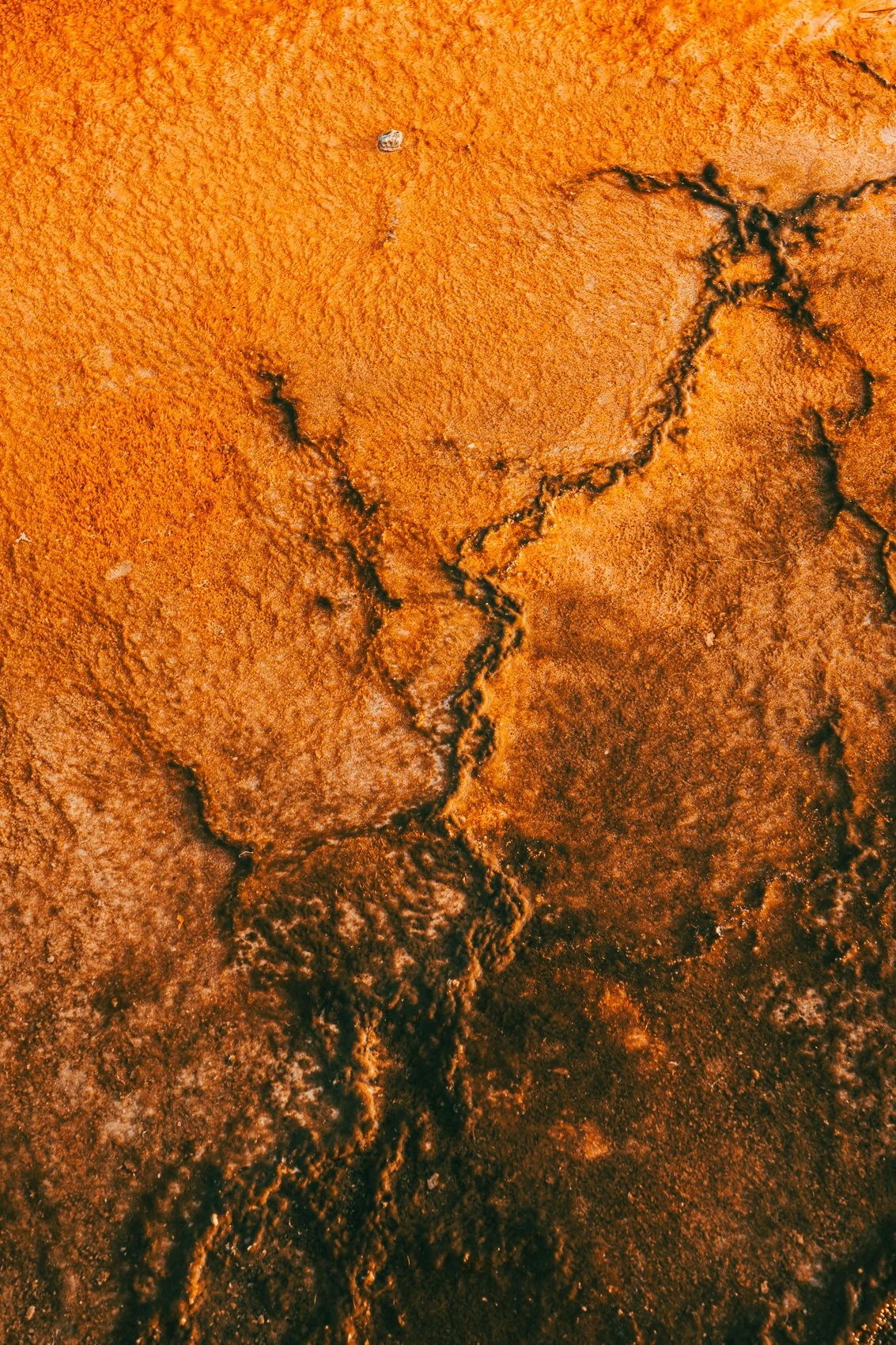 Close-up of an orange, cracked, rocky surface with dark fissures.