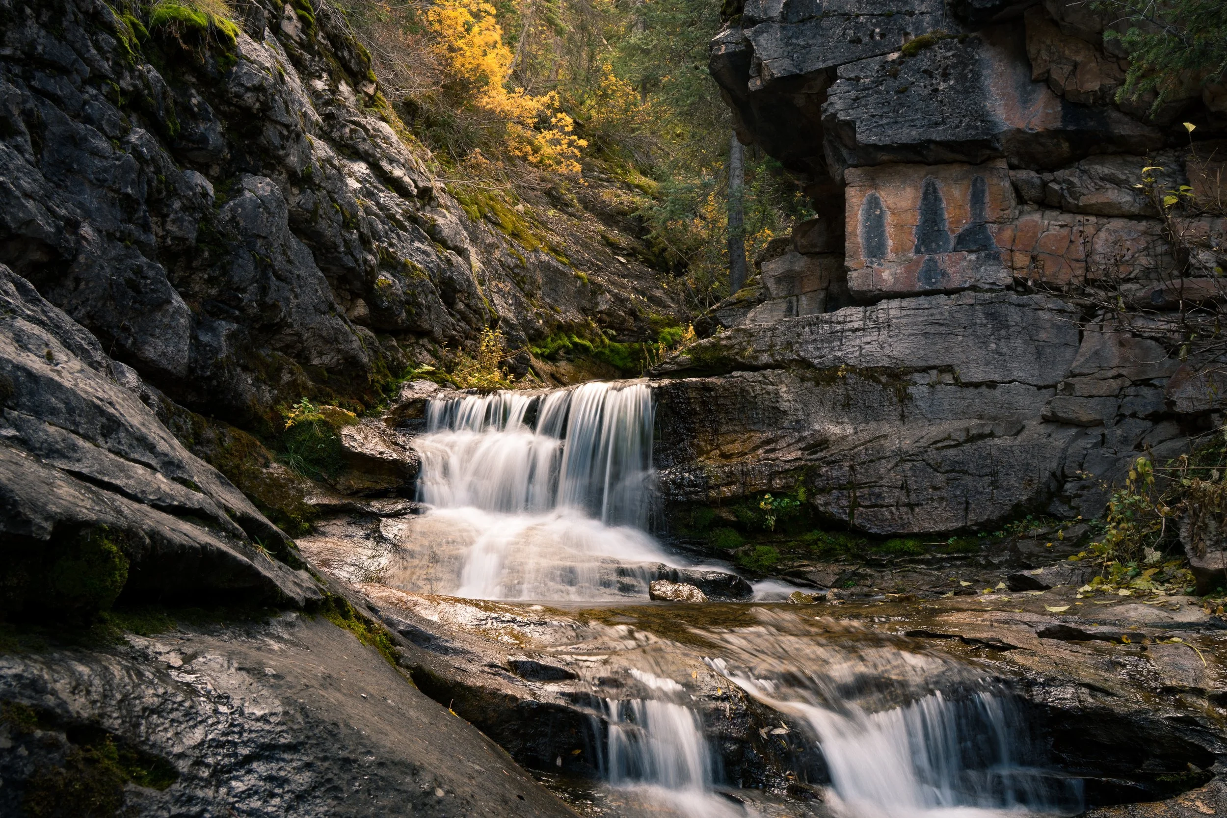 A small waterfall flowing over rocks in a forested area with yellow autumn leaves and green trees.