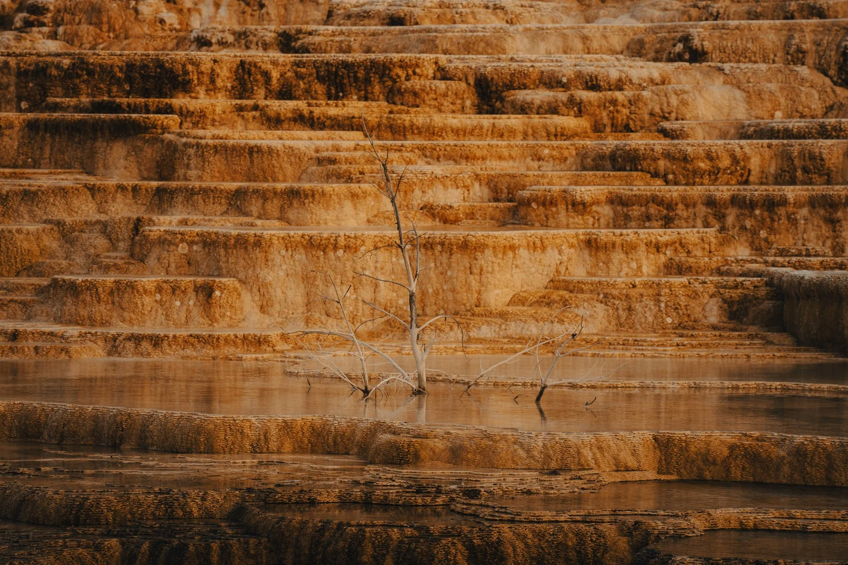 A dry, barren landscape with layered orange and brown rock formations and a leafless tree in the water.