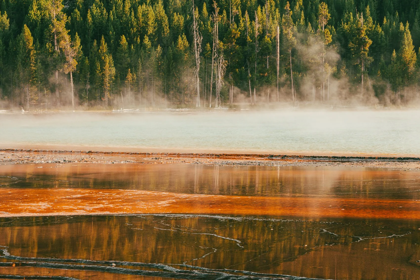 Steam rises from a hot spring or geothermal pool surrounded by tall pine trees, with a muddy shoreline in the foreground.