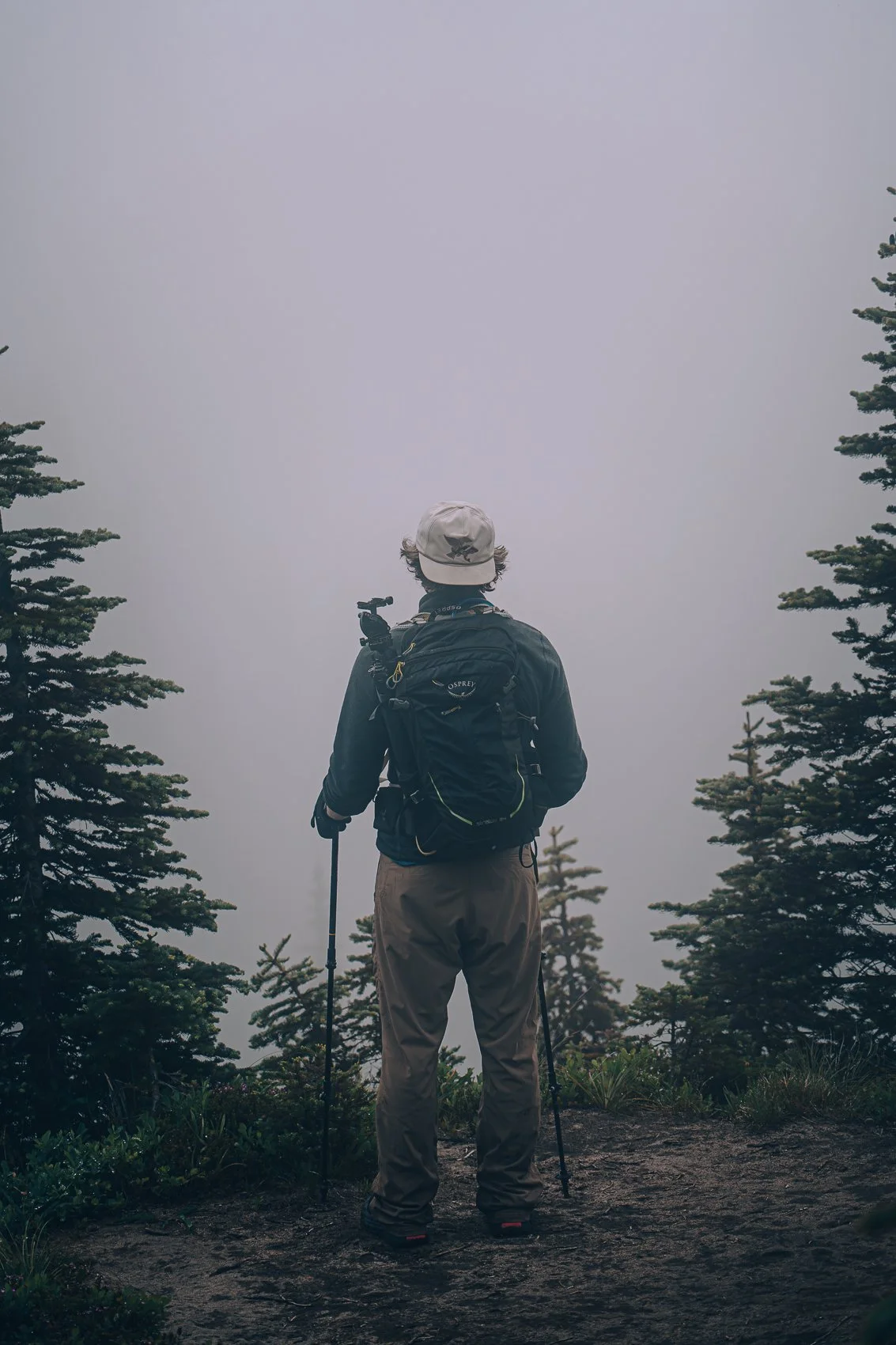 Person hiking in a foggy forest with trees and a backpack.