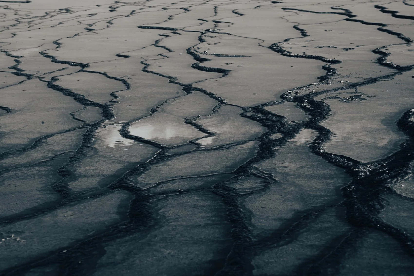 Hot spring with dark lines running through shallow water creating patterns in black and white.