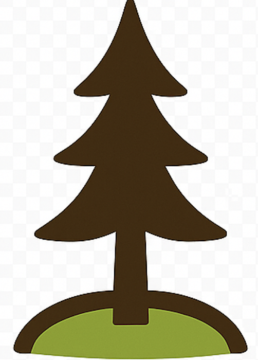 A simple, cartoon-style illustration of a pine tree with a brown trunk and dark green foliage, positioned on a green grassy patch.